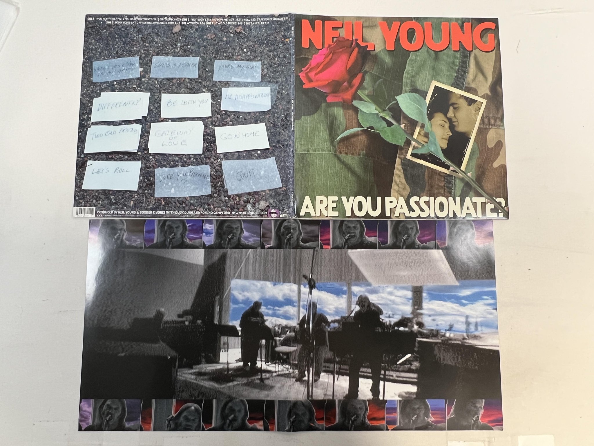 Omslagsbild för skivan NEIL YOUNG Are You Passionate? 2xLP 2002 US VAPOR 9 48111-1