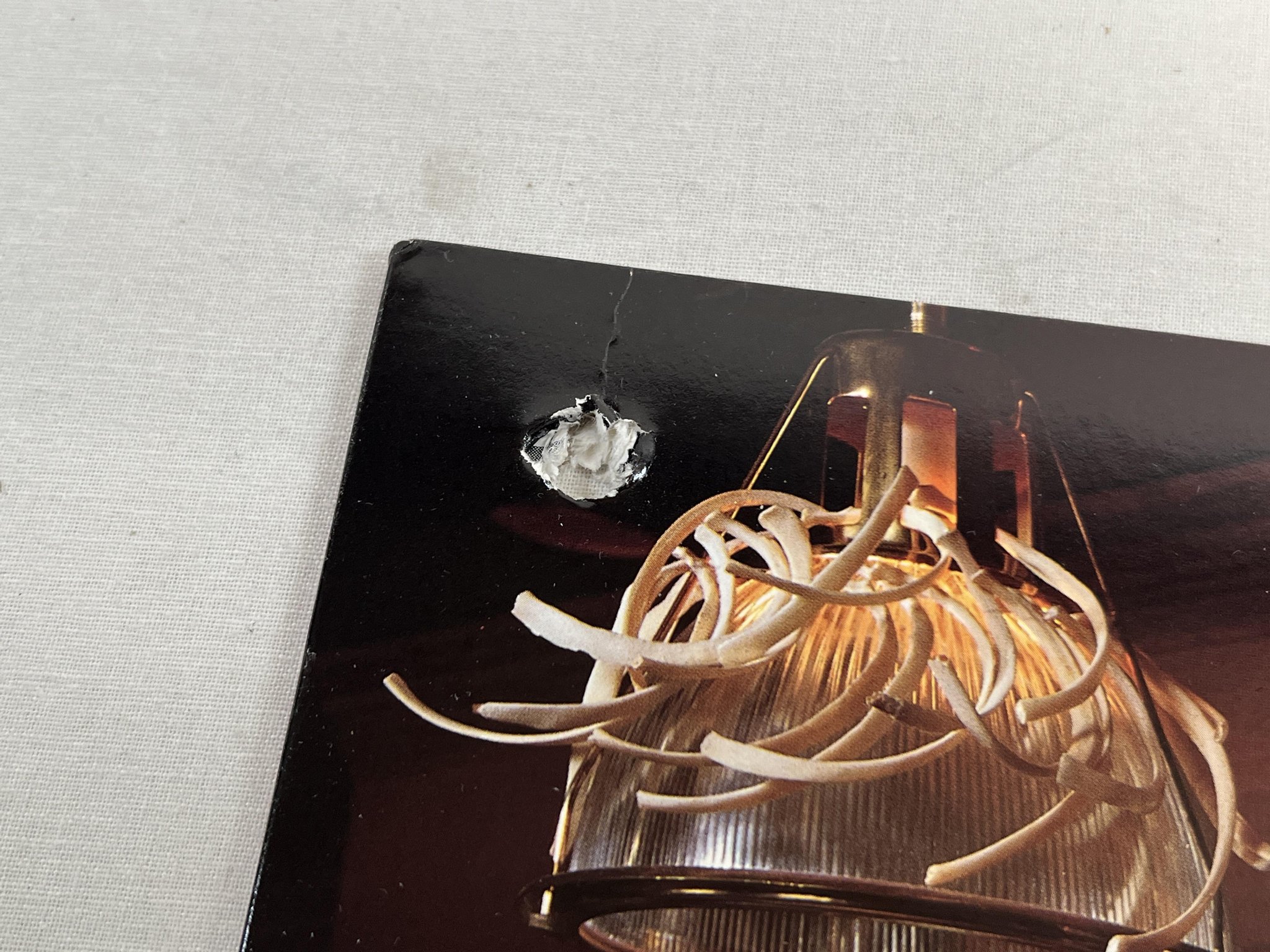 Omslagsbild för skivan EXODUS Pleasures Of The Flesh LP -87 US COMBAT 88561-8169-1 ** trash **