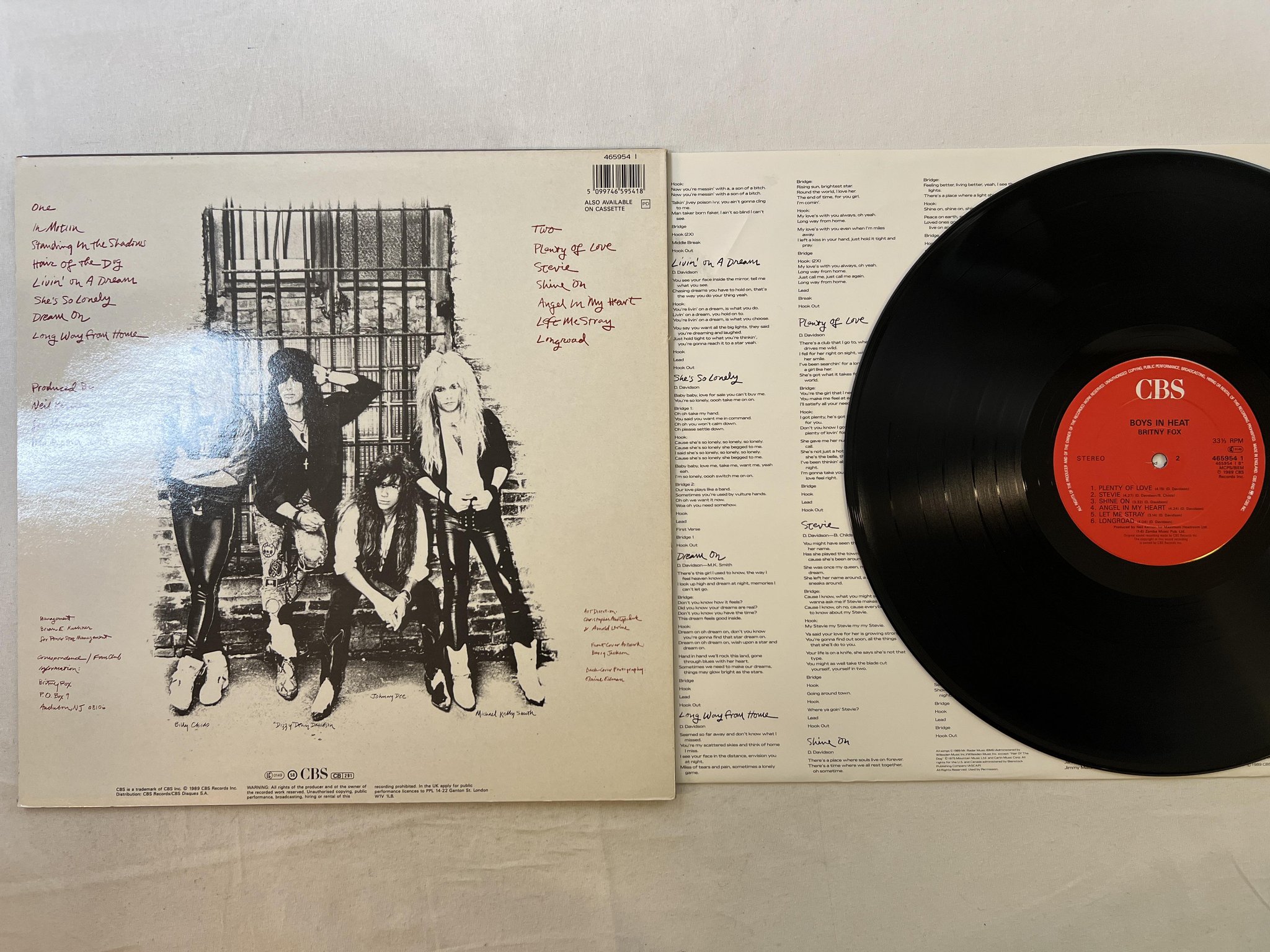 Omslagsbild för skivan BRITNY FOX boys in heat LP -89 VBS 465954 1