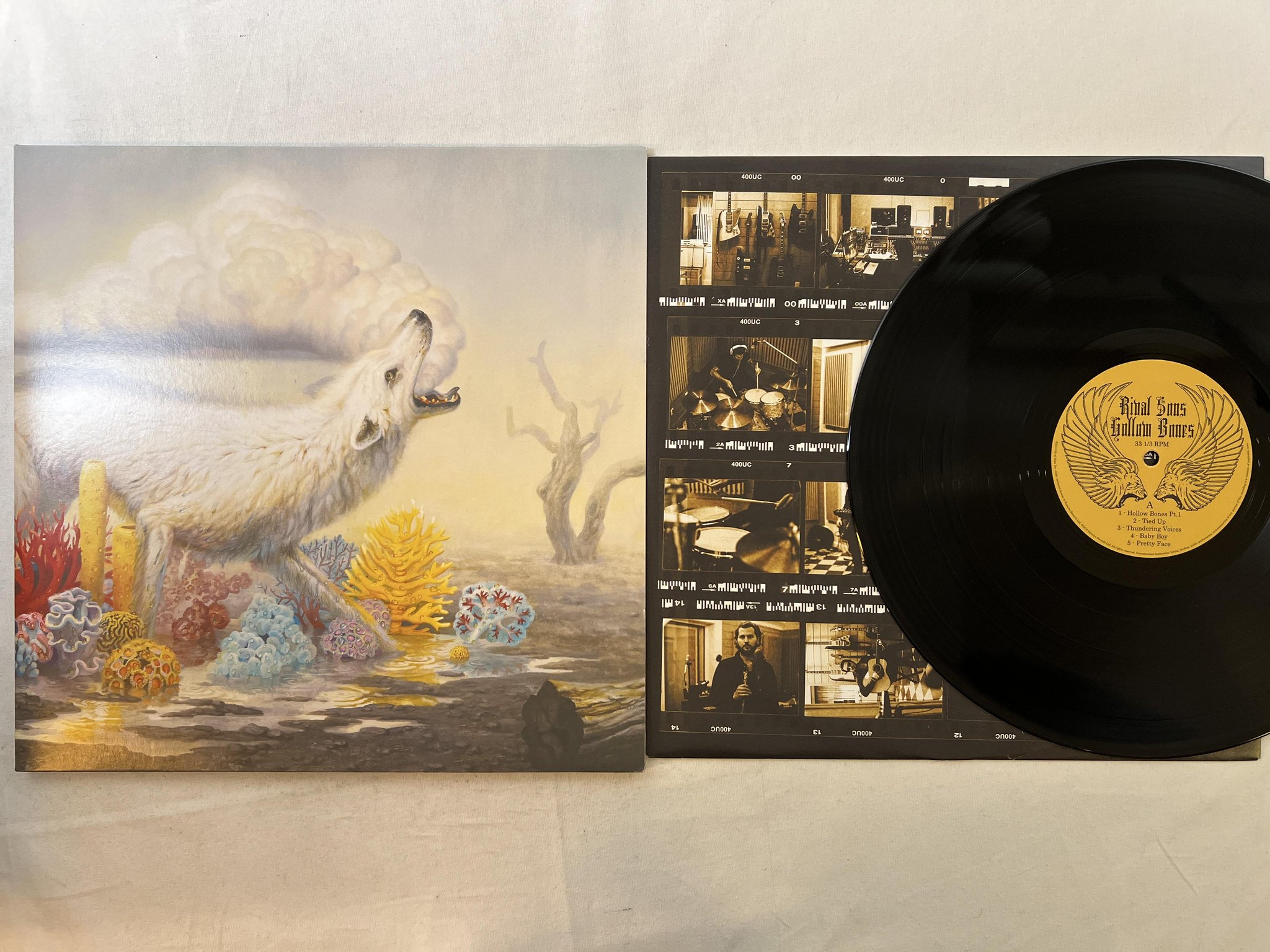 Omslagsbild för skivan RIVAL SONS Hollow Bones LP 2016 EARACHE MOSH562LP