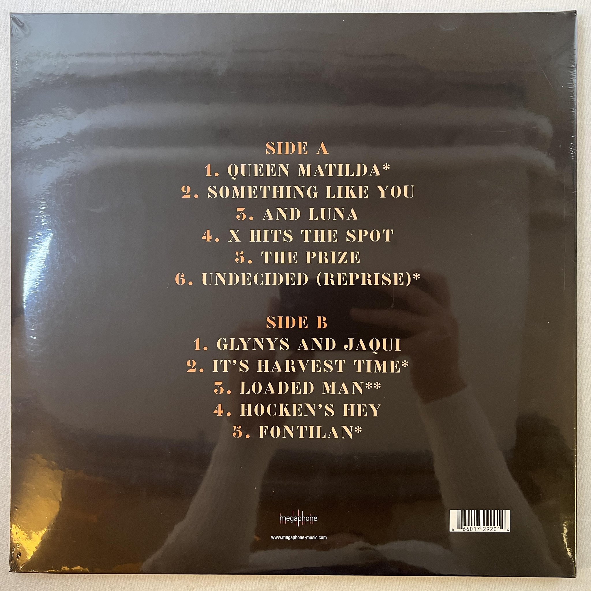 Omslagsbild för skivan MICHAEL HEAD & THE STRANDS The Magical World Of The Strands LP UK 2015 LPMEGA24