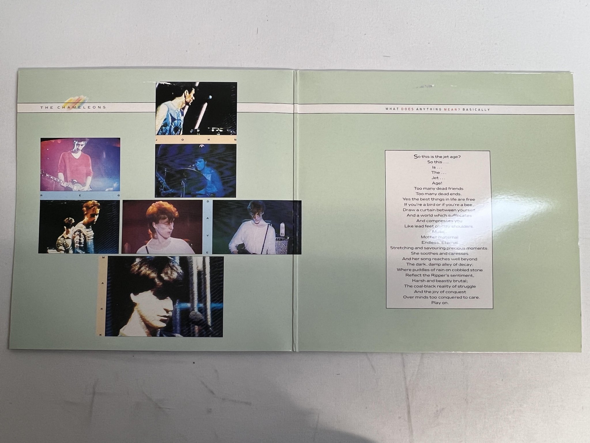 Omslagsbild för skivan THE CHAMELEONS what does anything mean? basically LP -85 ncb STATIK STAT LP 22