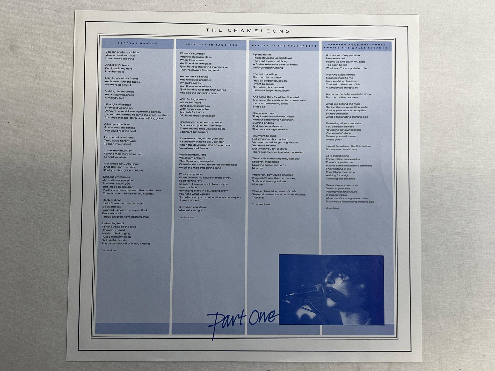 Omslagsbild för skivan THE CHAMELEONS what does anything mean? basically LP -85 ncb STATIK STAT LP 22