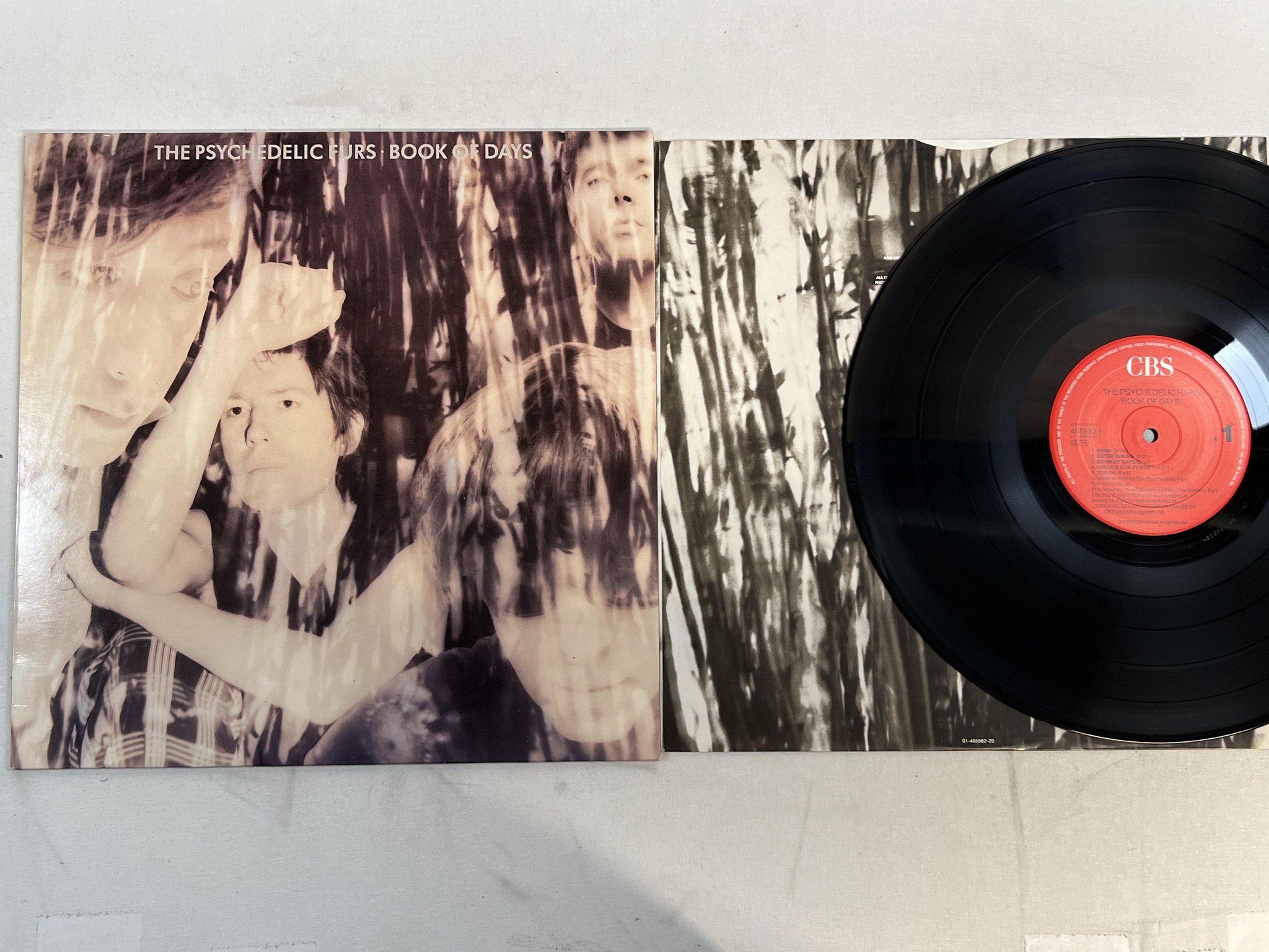Omslagsbild för skivan THE PSYCHEDELIC FURS book of days LP -89 Hol CBS 4659821