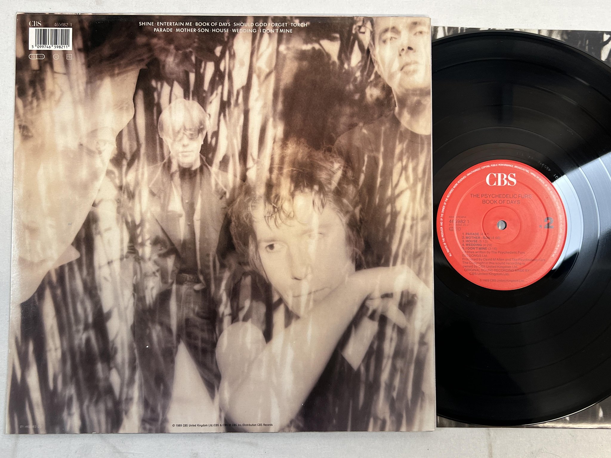Omslagsbild för skivan THE PSYCHEDELIC FURS book of days LP -89 Hol CBS 4659821