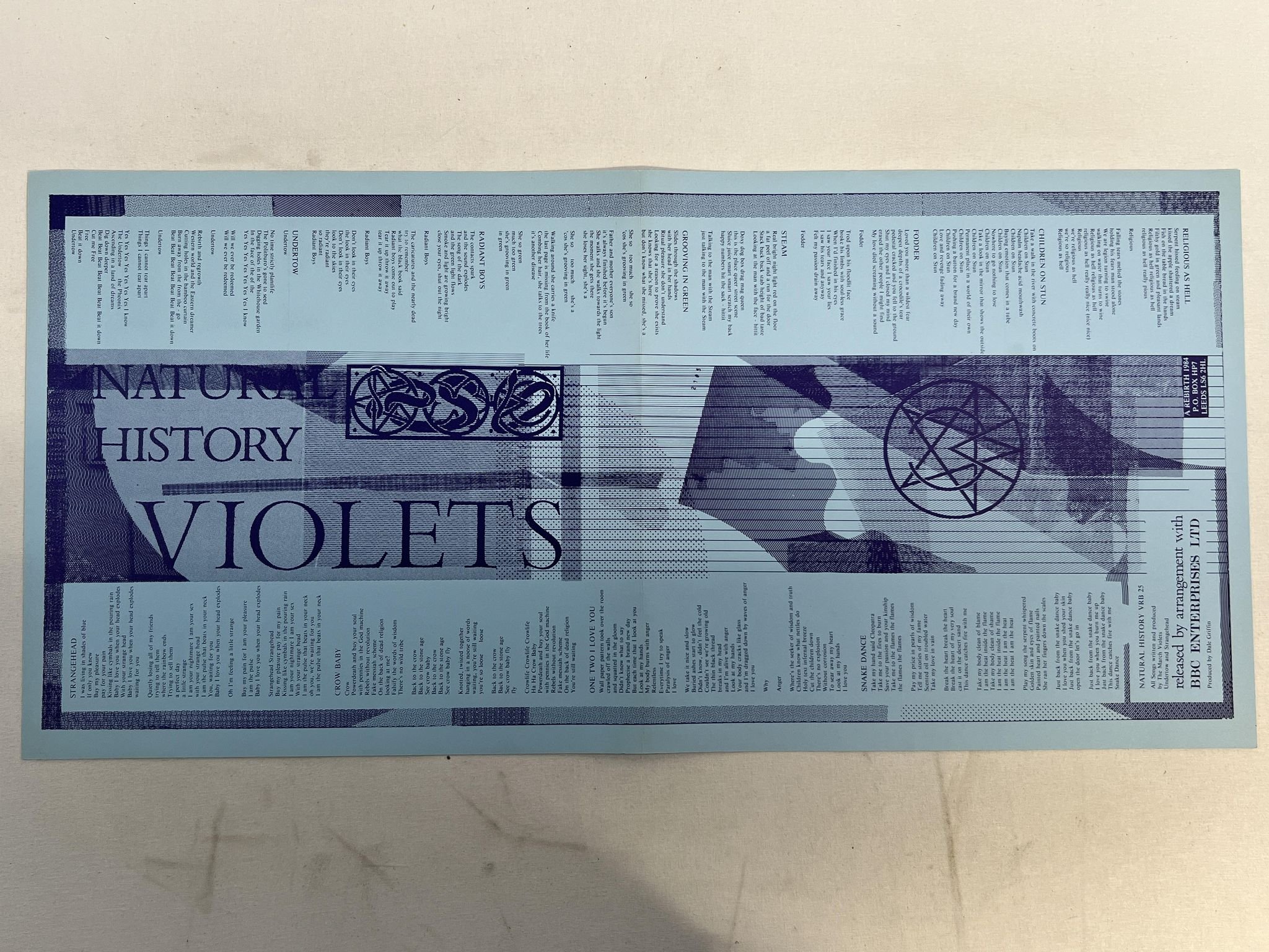 Omslagsbild för skivan THE MARCH VIOLETS Natural History LP -84 UK REBIRTH VRB25