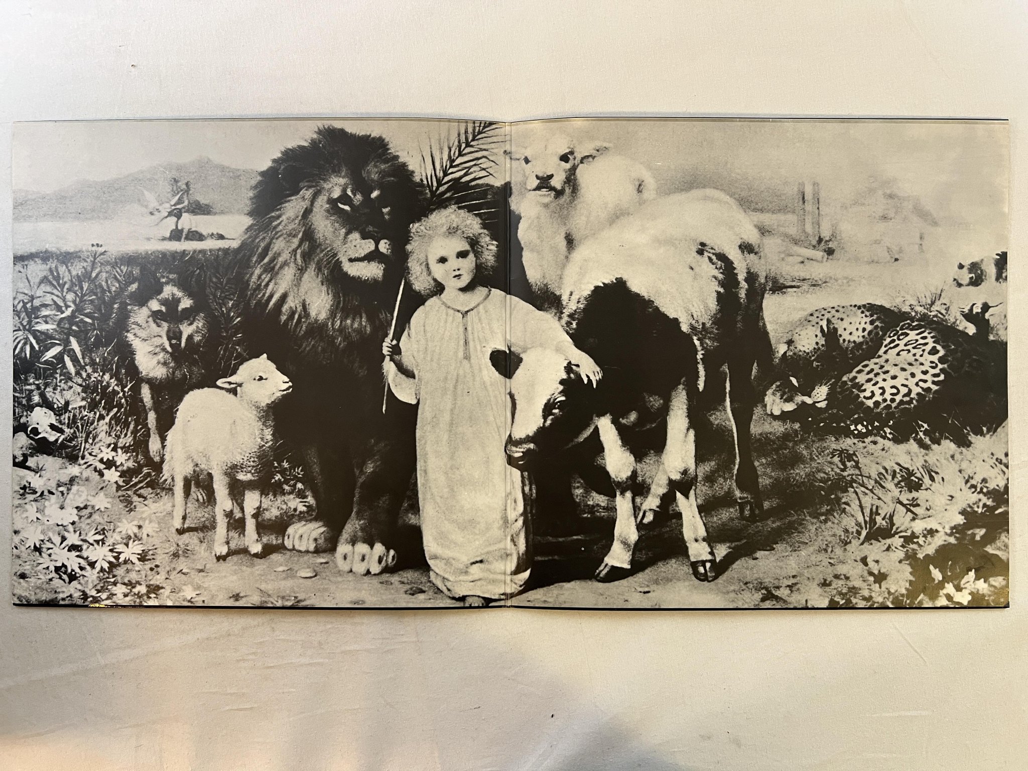 Omslagsbild för skivan MOTT THE HOOPLE mad shadows LP Ger ISLAND 6339 006