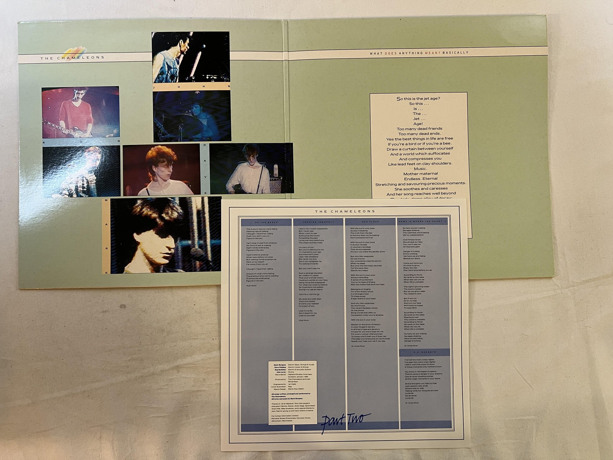 Omslagsbild för skivan THE CHAMELEONS What Does Anything Mean? Basically LP -85 Swe STATIK STAT LP 22