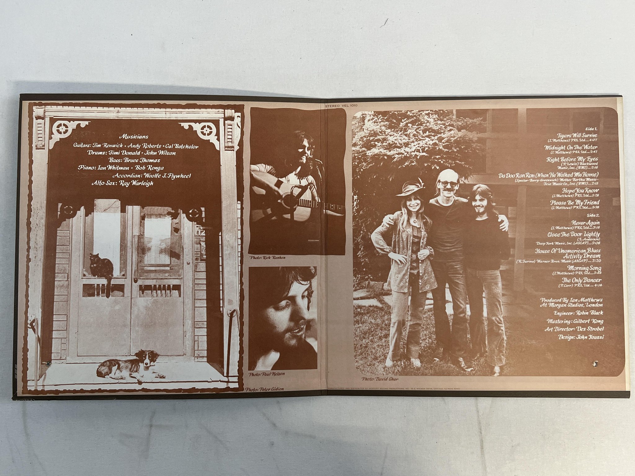 Omslagsbild för skivan IAN MATTHEWS Tigers Will Survive LP -72 US VERTIGO swirl VEL 1010