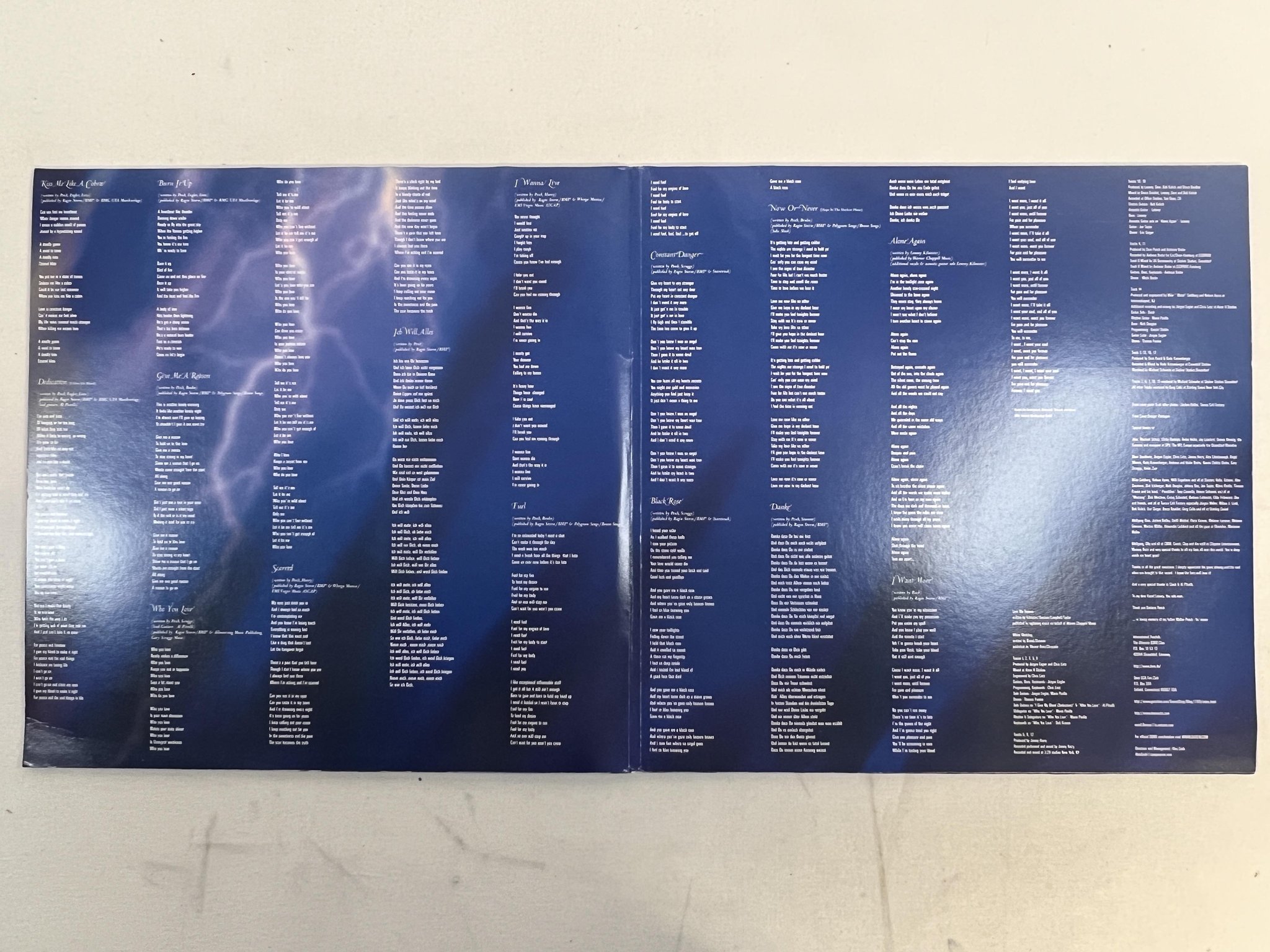 Omslagsbild för skivan DORO Calling The Wild 2XLP picture discs STEAMHAMMER SPV 089-72041 2LP