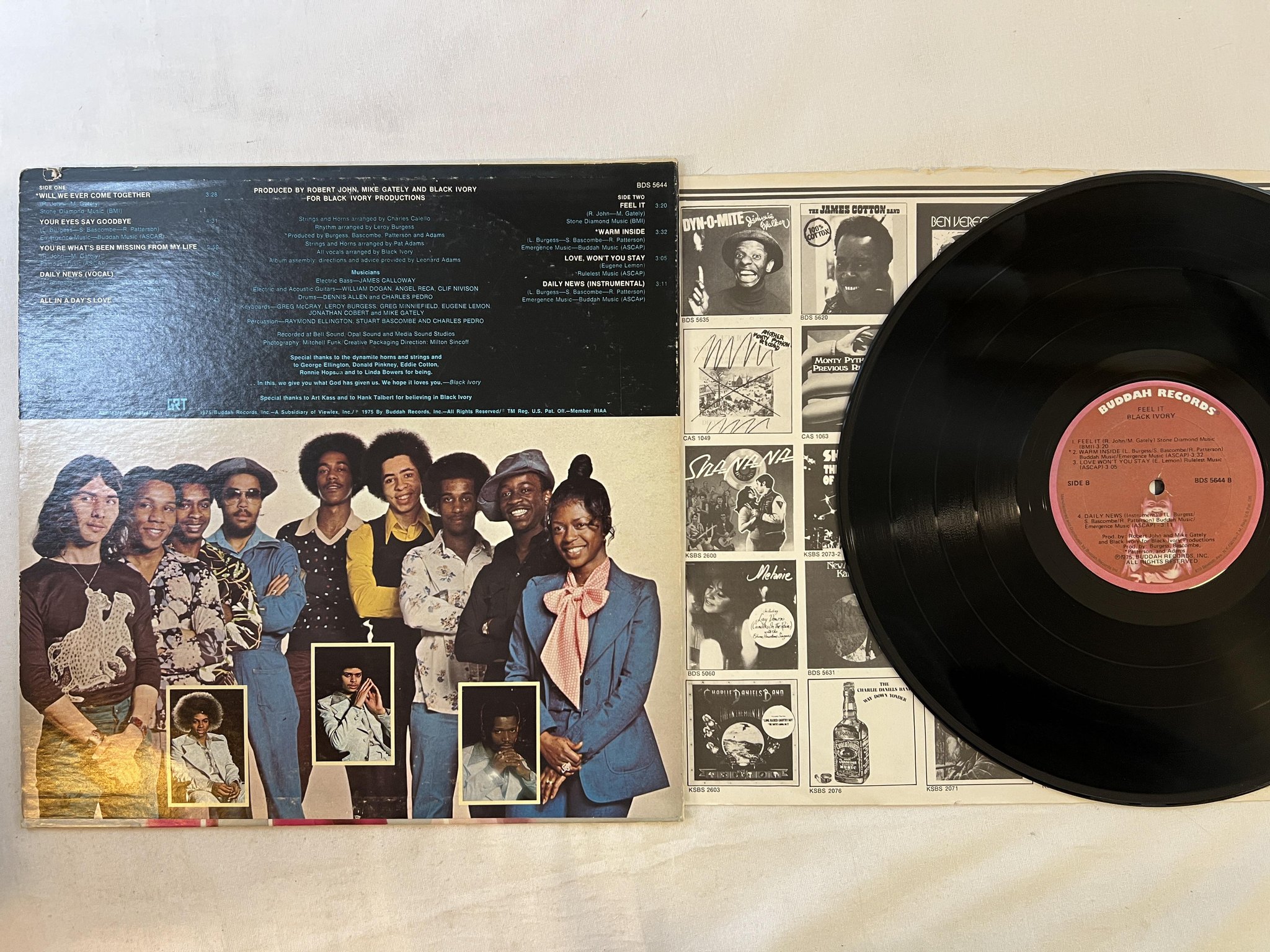 Omslagsbild för skivan BLACK IVORY feel it LP -75 BUDDAH bds 5644