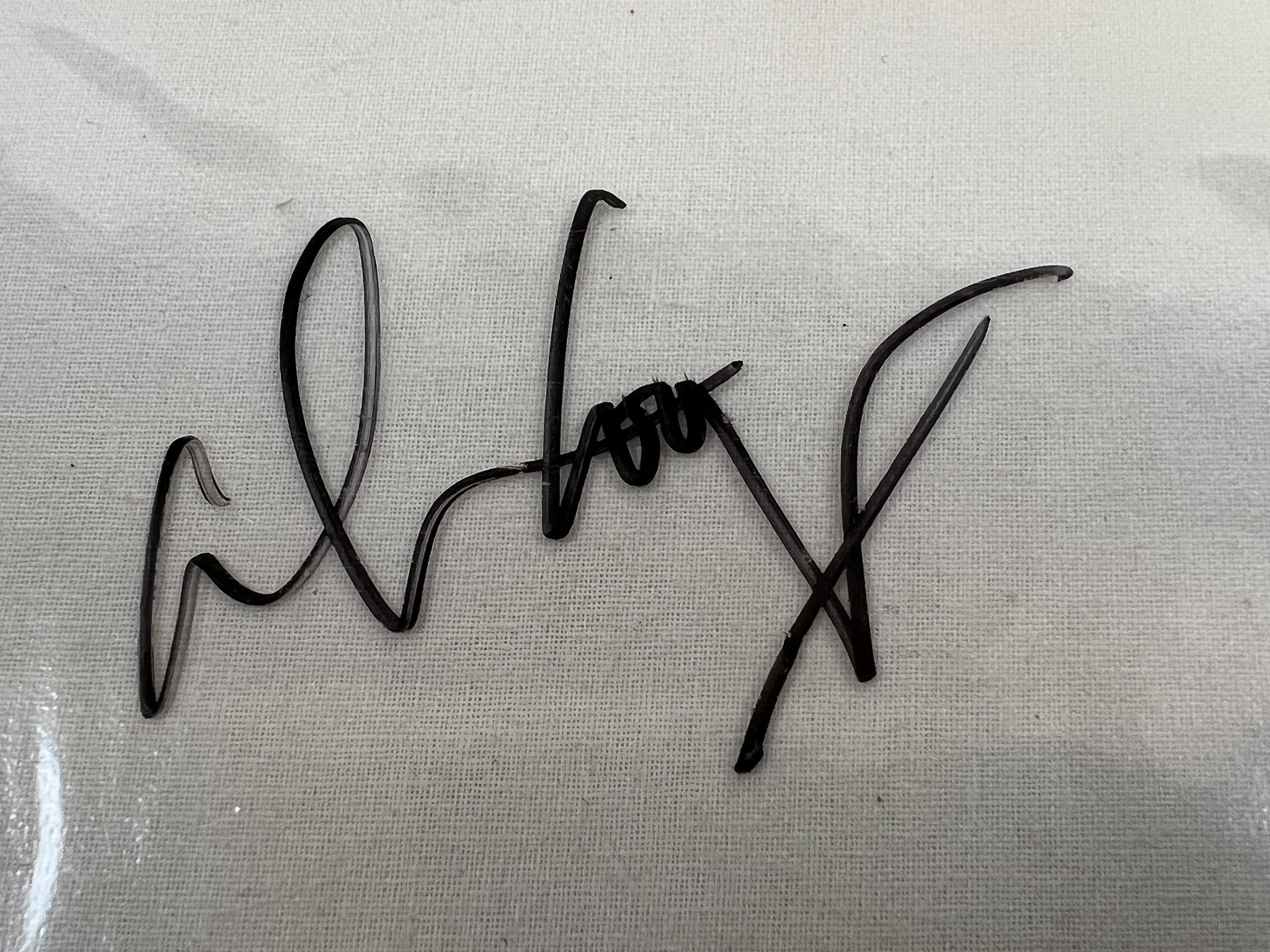 Omslagsbild för skivan ALICE COOPER house of fire 7" picture disc -89 EPIC ALICE P4 ** SIGNED, WOW! **