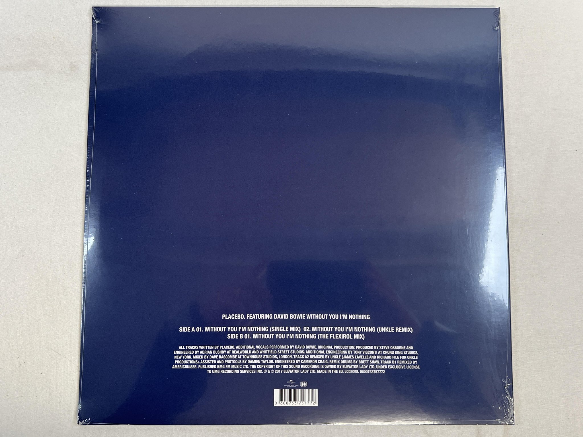 Omslagsbild för skivan PLACEBO feat DAVID BOWIE Without You I'm Nothing 12" PICTURE DISC 2017 RSD