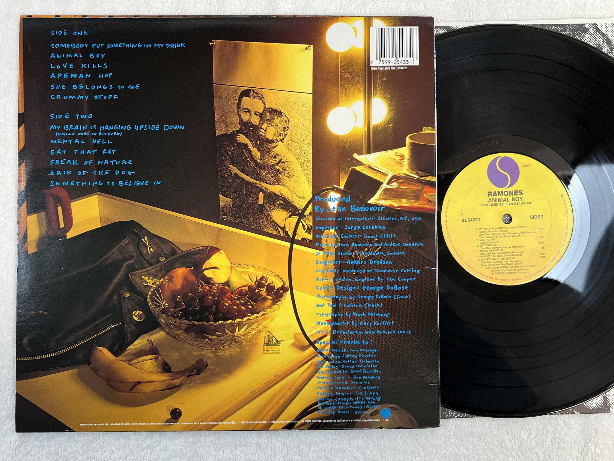 Omslagsbild för skivan RAMONES animal boy LP -86 Can SIRE 9254331