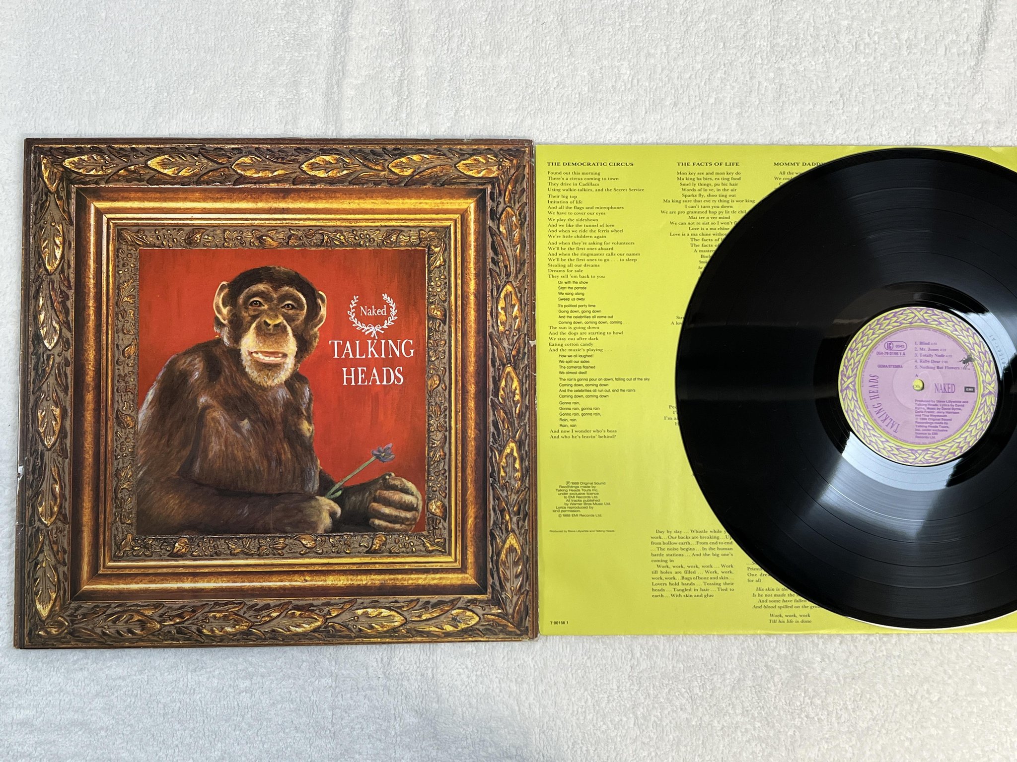 Omslagsbild för skivan TALKING HEADS naked LP -88 Hol EMI 064-79 0156 1