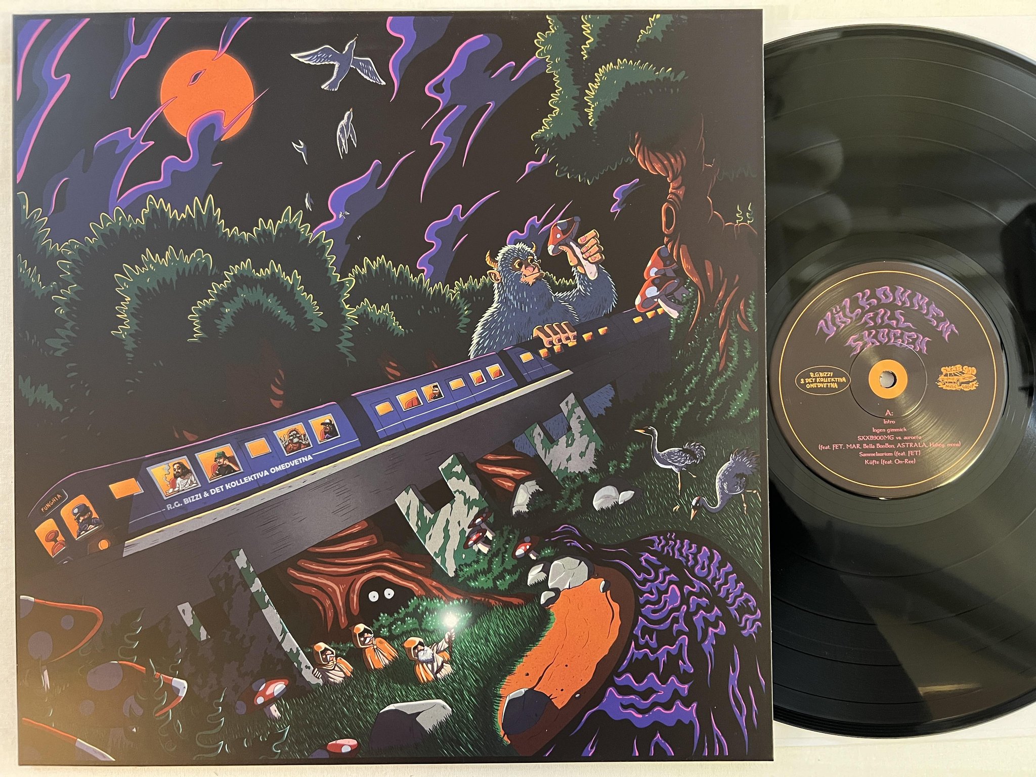 Omslagsbild för skivan R.G. BIZZI Välkommen Till Skogen LP 2022 sxxb900mg S9MG0009