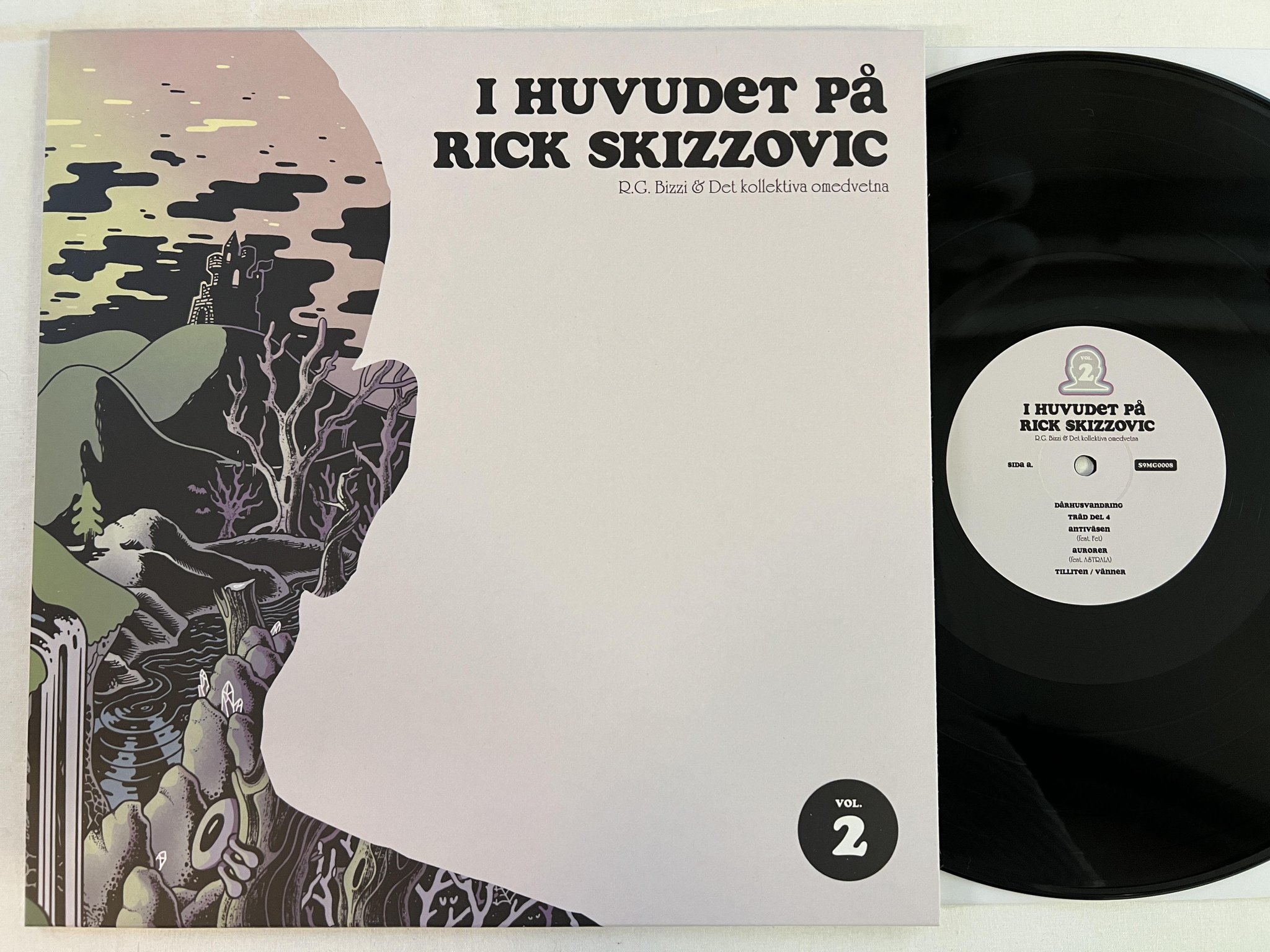 Omslagsbild för skivan R.G. BIZZI Huvudet På Rick Skizzovic Vol. 2 LP 2022 SXXB900MG S9MG0008