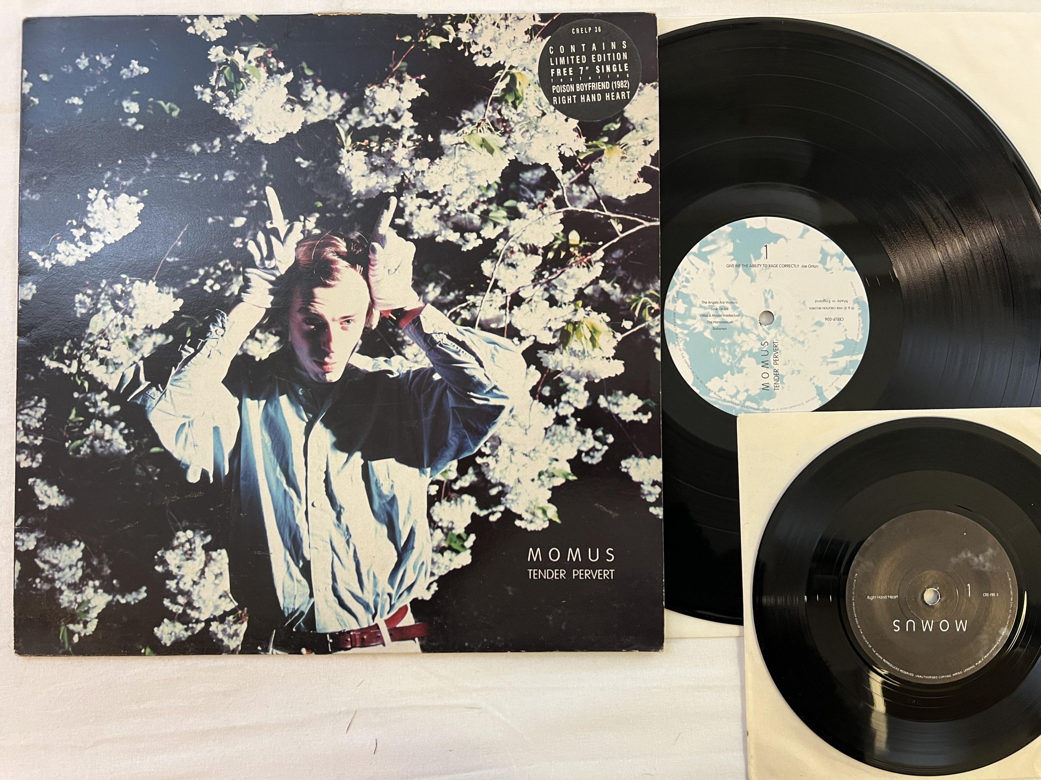 Omslagsbild för skivan MOMUS tender pervert LP + 7" UK -88 CREATION CRELP 3