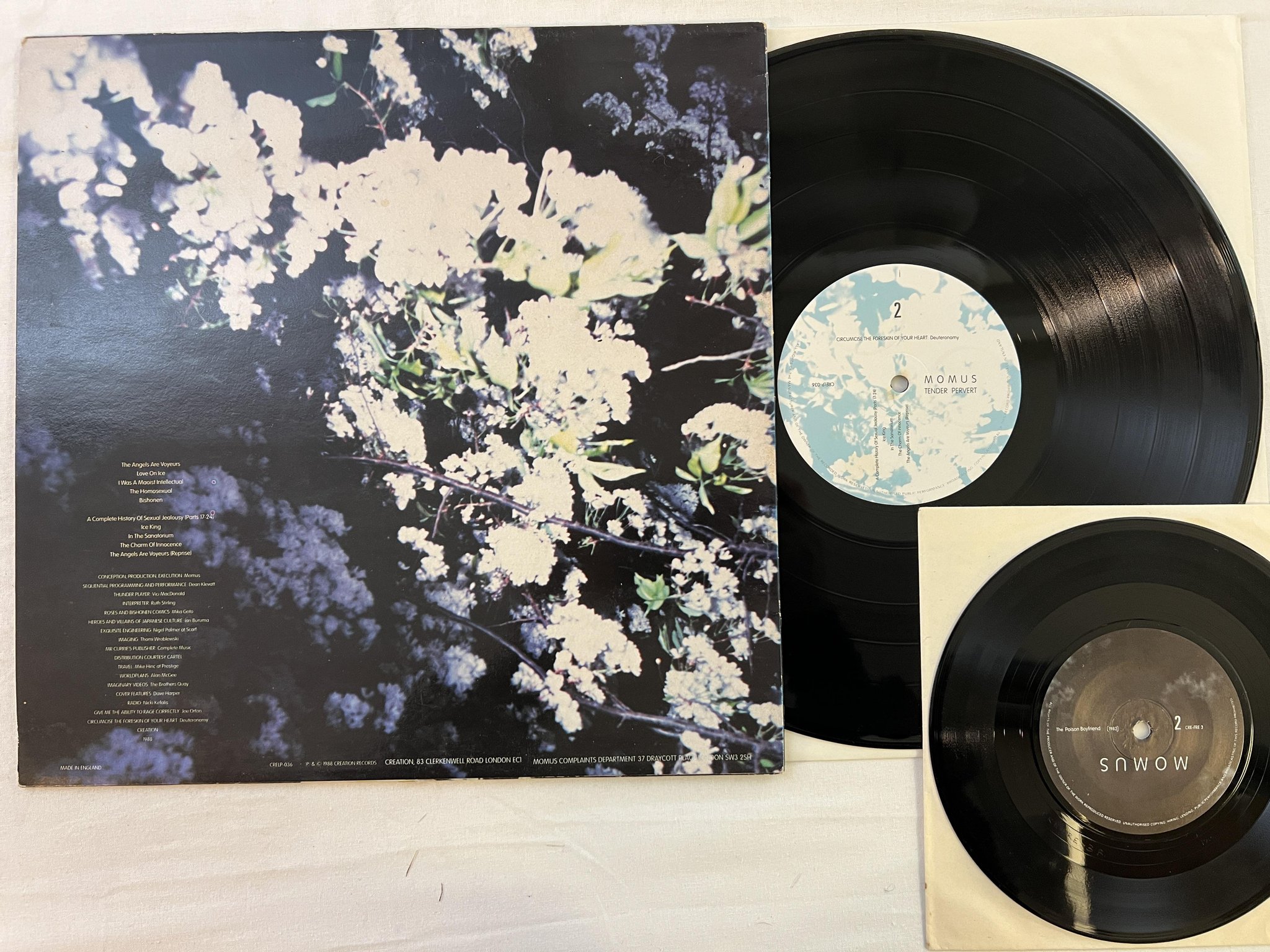 Omslagsbild för skivan MOMUS tender pervert LP + 7" UK -88 CREATION CRELP 3