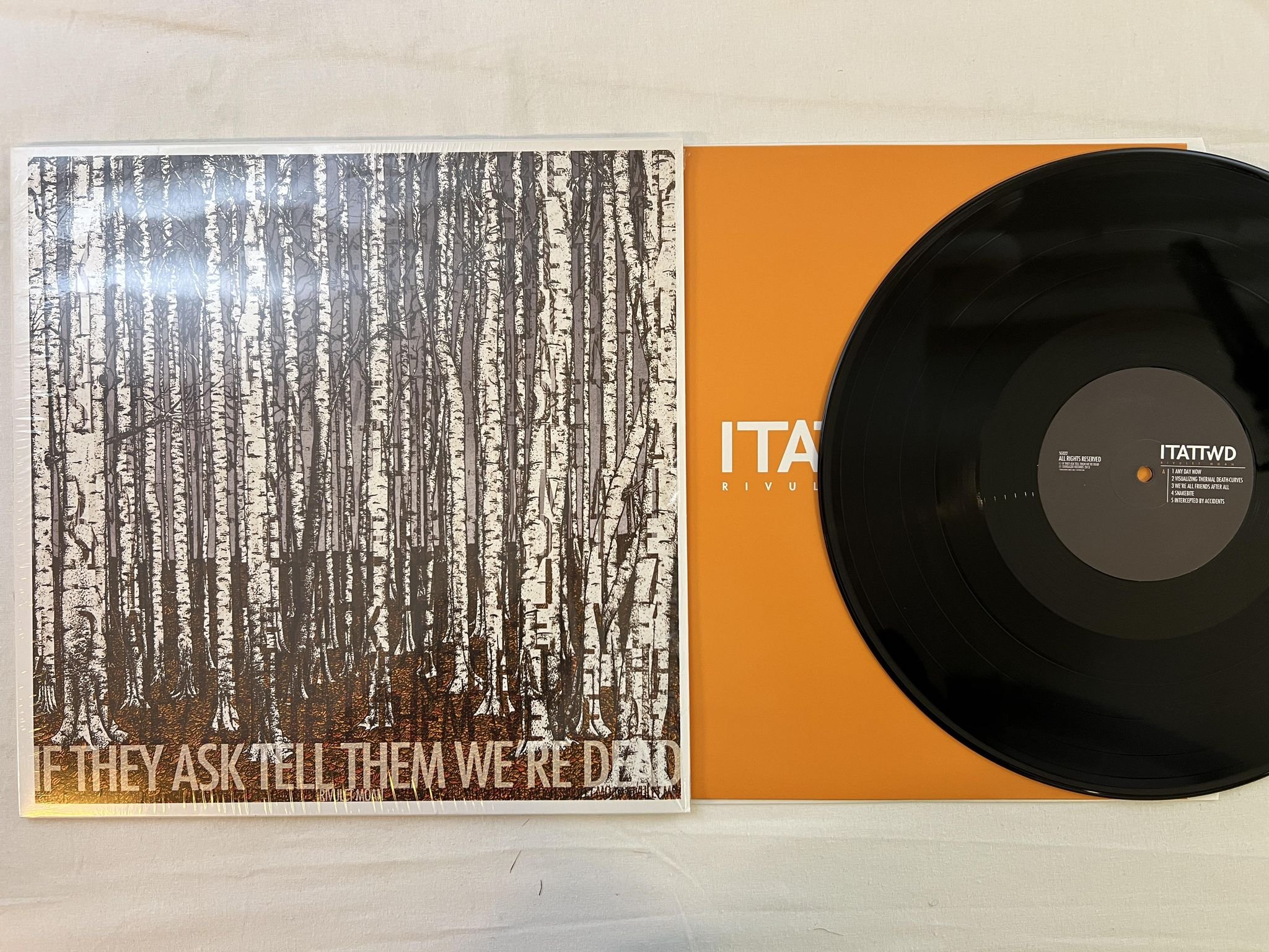 Omslagsbild för skivan ITATTWD Rivulet Moan LP 2013 Ger STARGAZER SG022