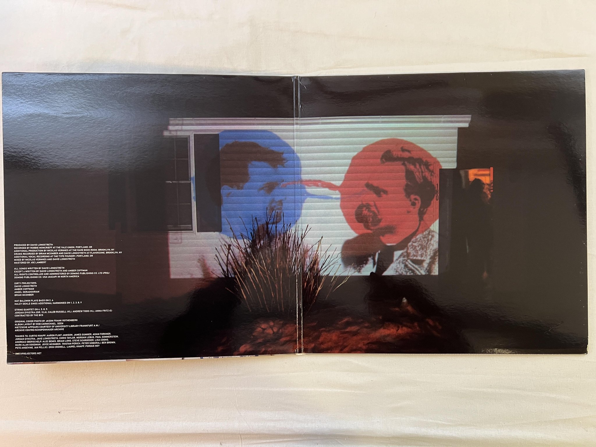 Omslagsbild för skivan DIRTY PROJECTORS Bitte Orca LP 2009 domino WIGLP229