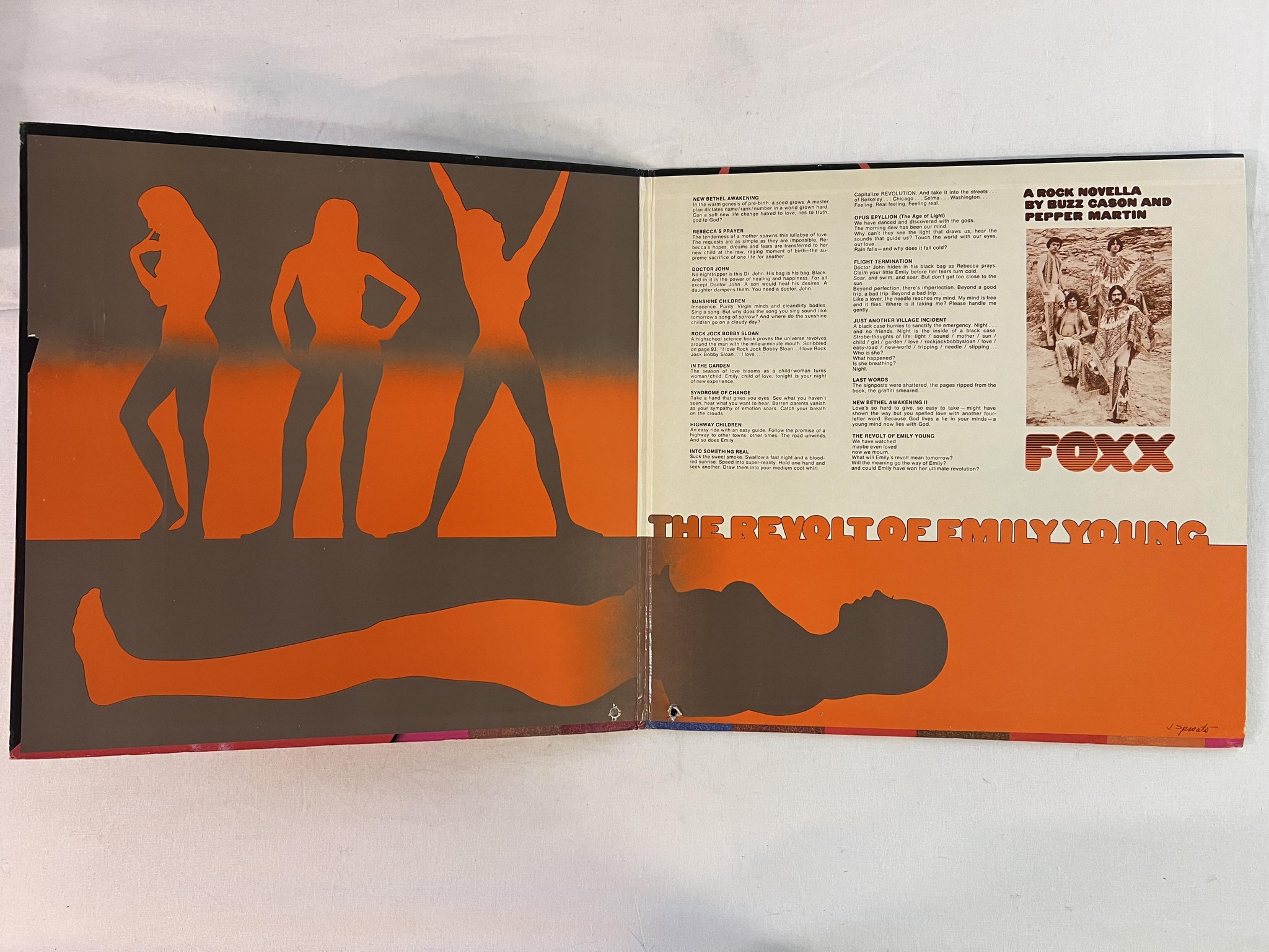 Omslagsbild för skivan FOXX The Revolt Of Emily Young LP -70 US decca DL 75193