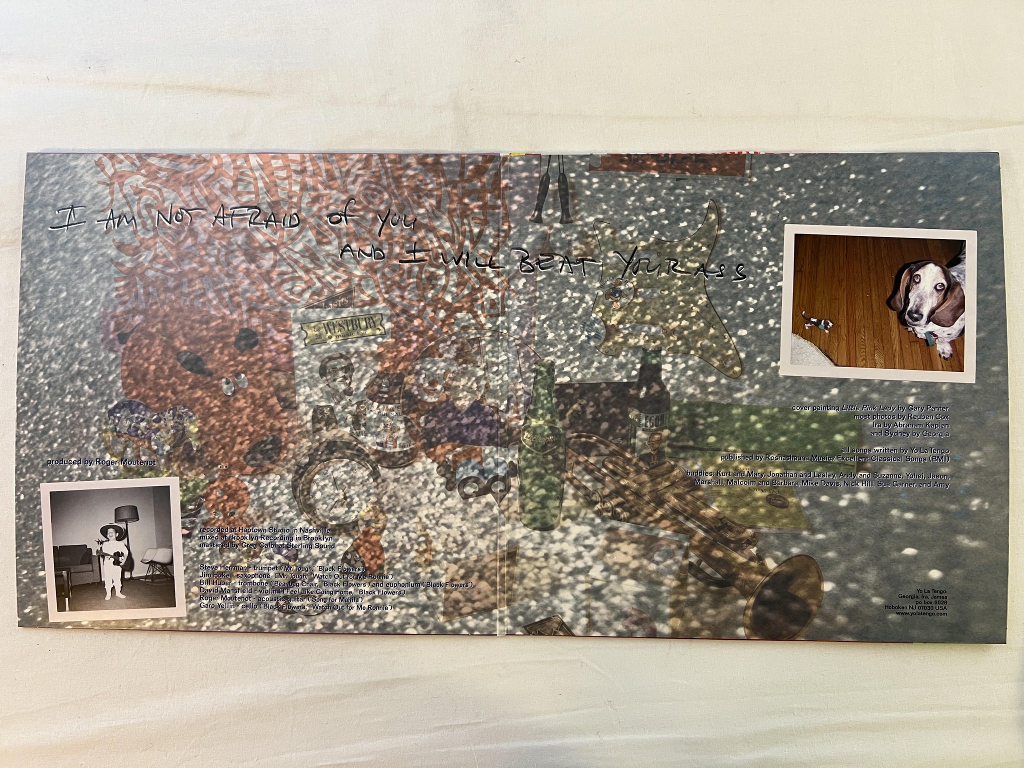 Omslagsbild för skivan YO LA TENGO I am not afraid of you... 2xLP 2006 MATADOR OLE 6920