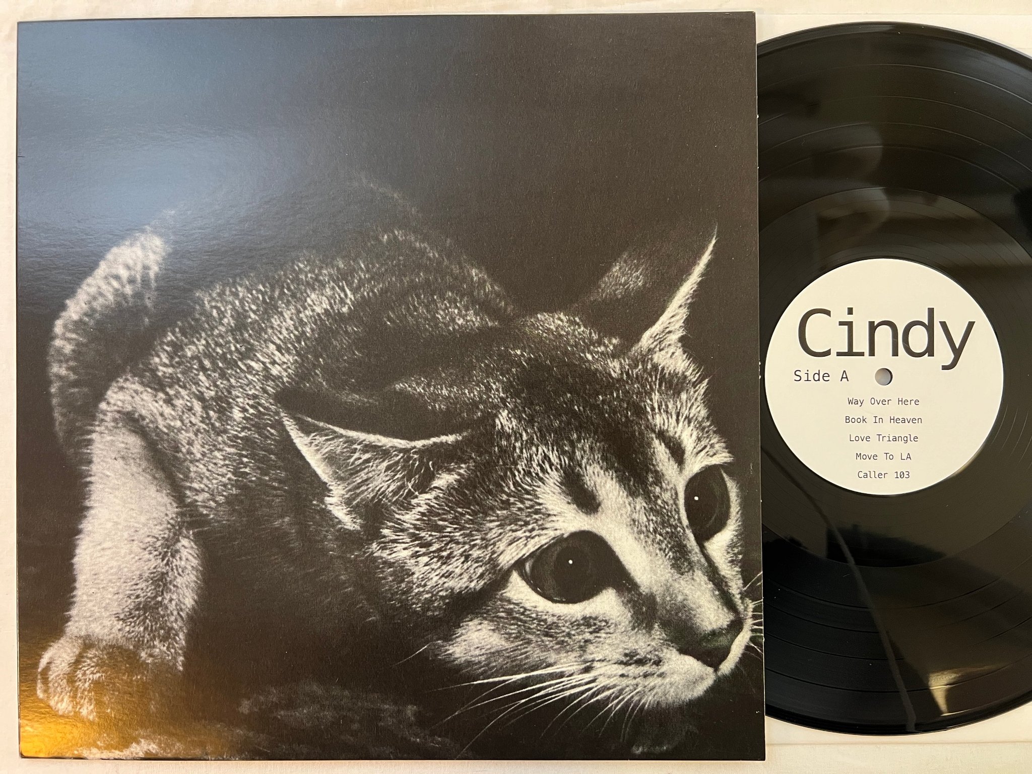 Omslagsbild för skivan CINDY s/t LP 2018 private press *** LO-FI INDIE ROCK **