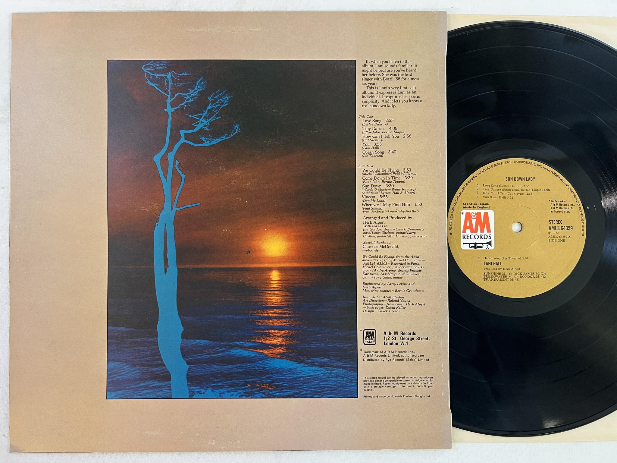 Omslagsbild för skivan LANI HALL sun down lady LP -72 UK A&M AMLS 64359