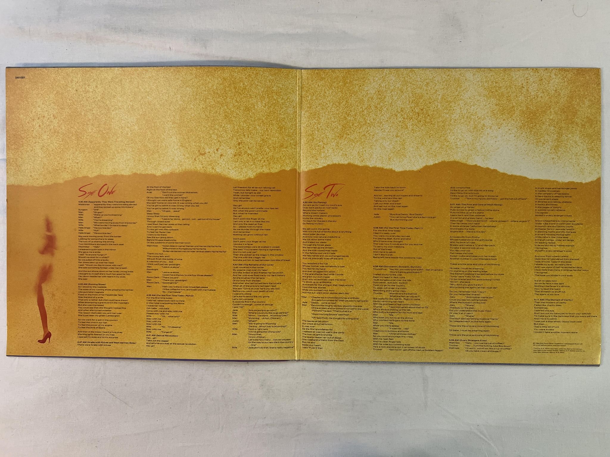 Omslagsbild för skivan ROGER WATERS the pros and the cons of hitch hiking LP -84 HARVEST 1C 064 2401051