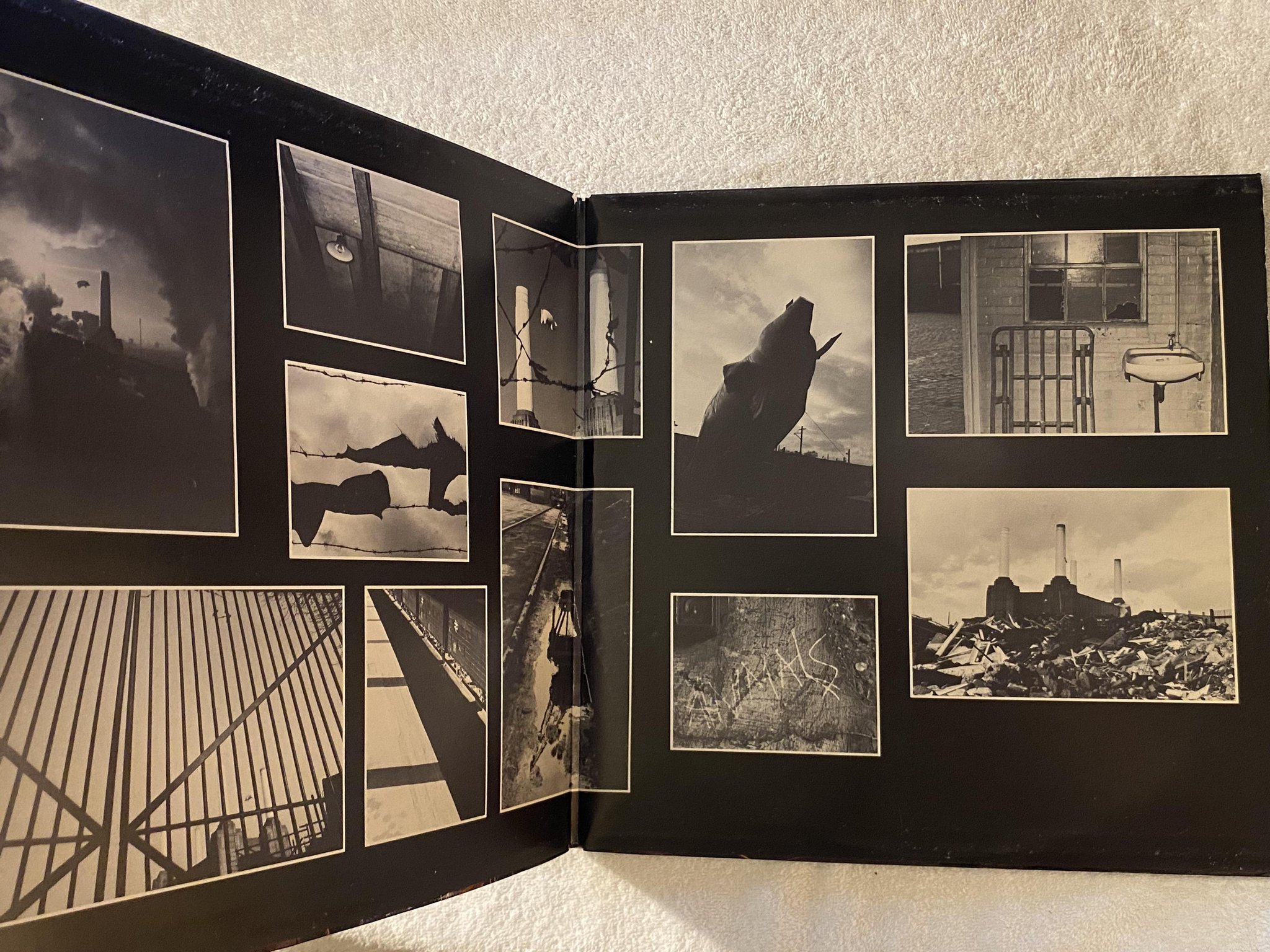 Omslagsbild för skivan PINK FLOYD animals LP -77 ncb HARVEST 7C 064-98434