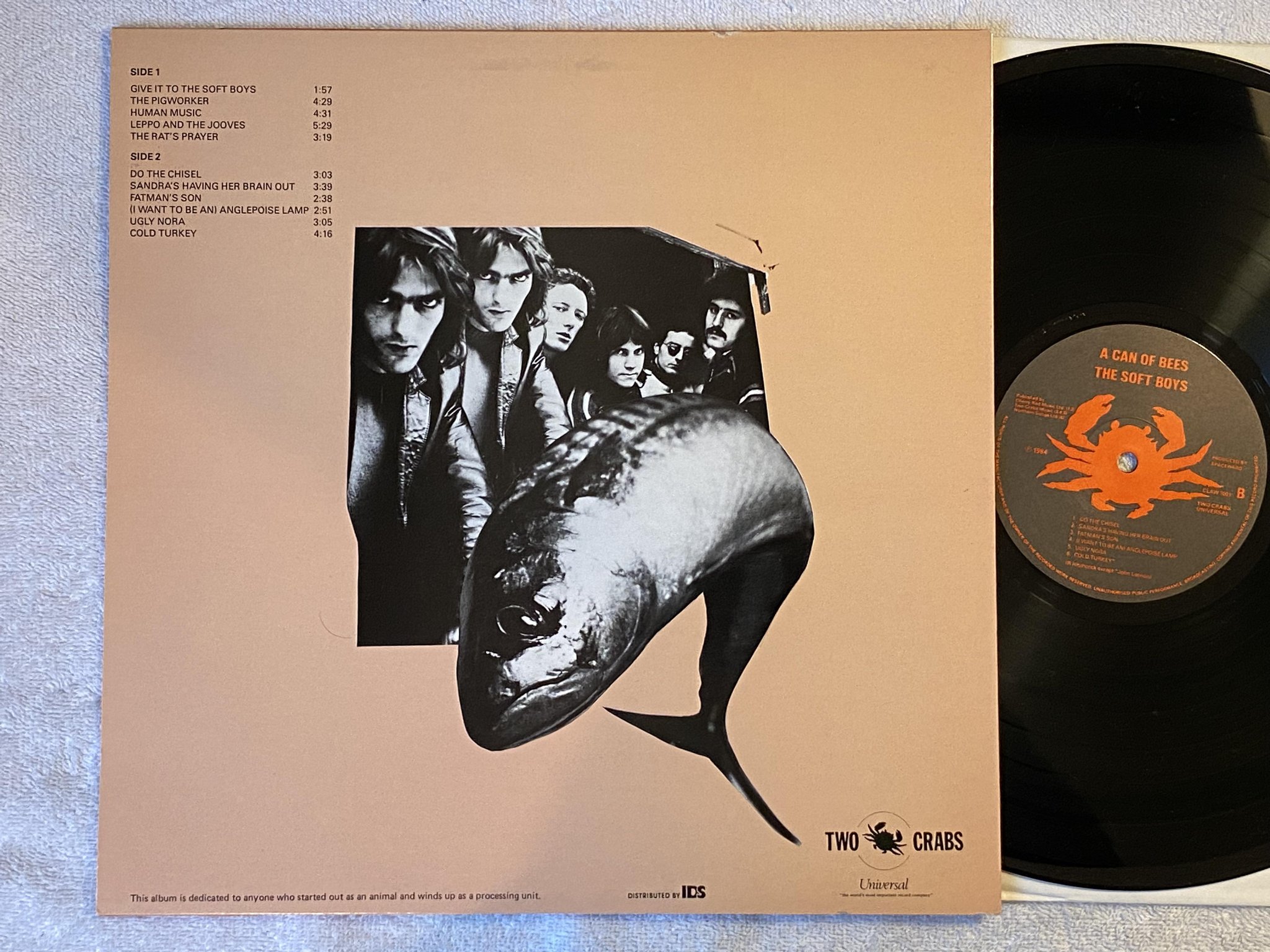 Omslagsbild för skivan THE SOFT BOYS A Can Of Bees LP re -84 UK TWO CRABS UNIVERSAL CLAW 1001