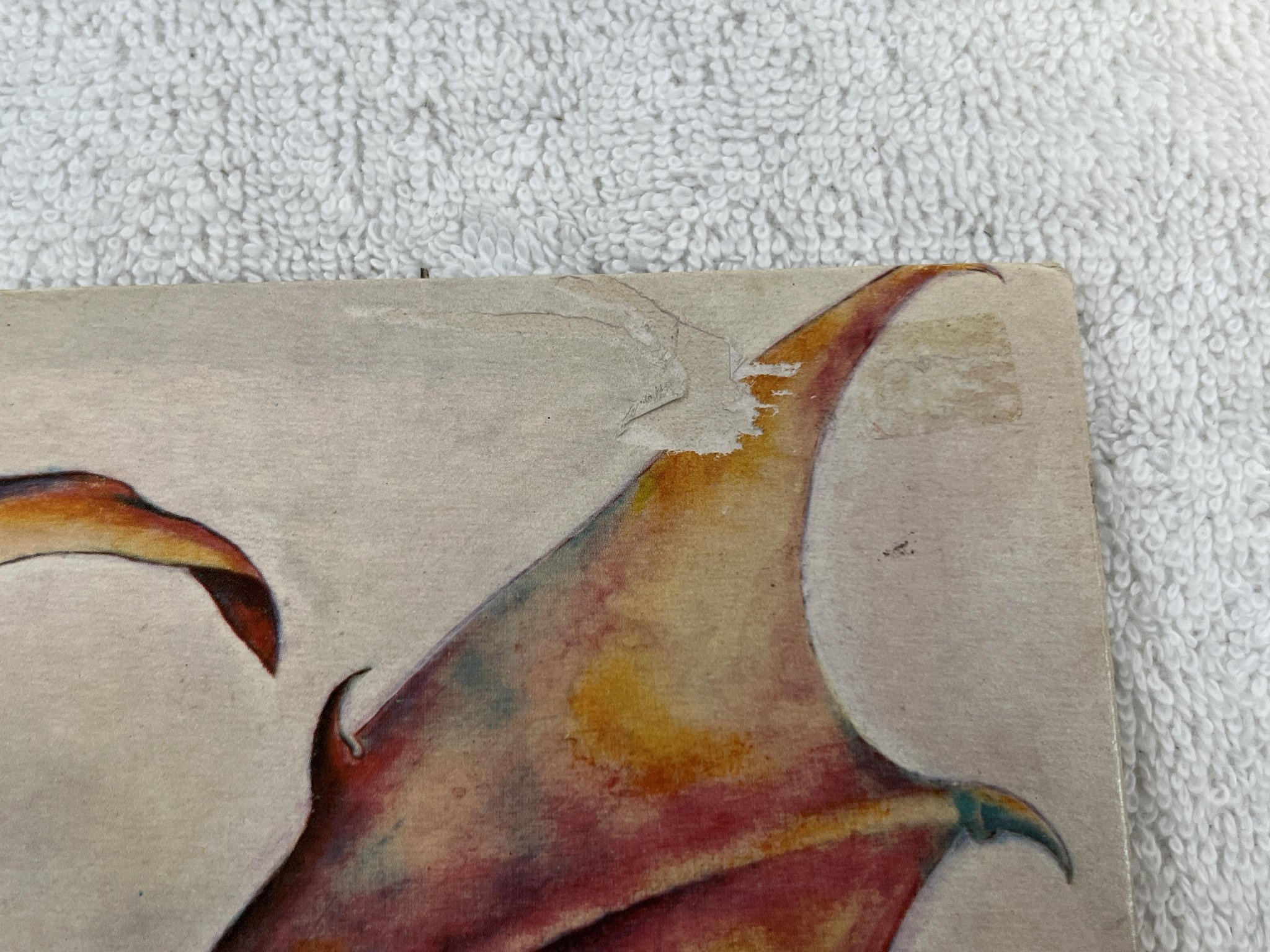 Omslagsbild för skivan COVEN blood on the snow LP -74 UK BUDDAH BDLH 5011 ** RARE UK PRESS **