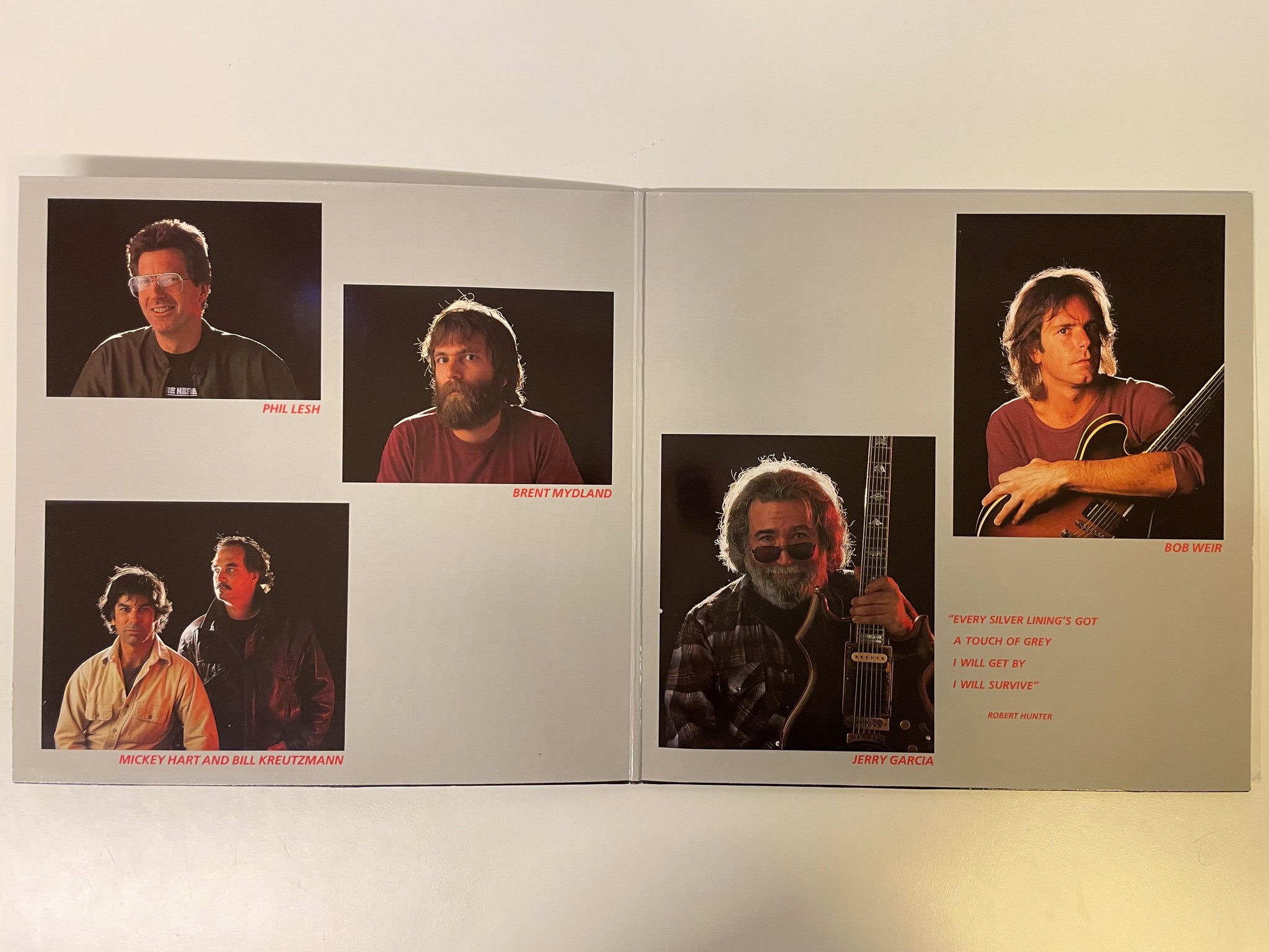 Omslagsbild för skivan GRATEFUL DEAD in the dark LP -87 Arista 208 564