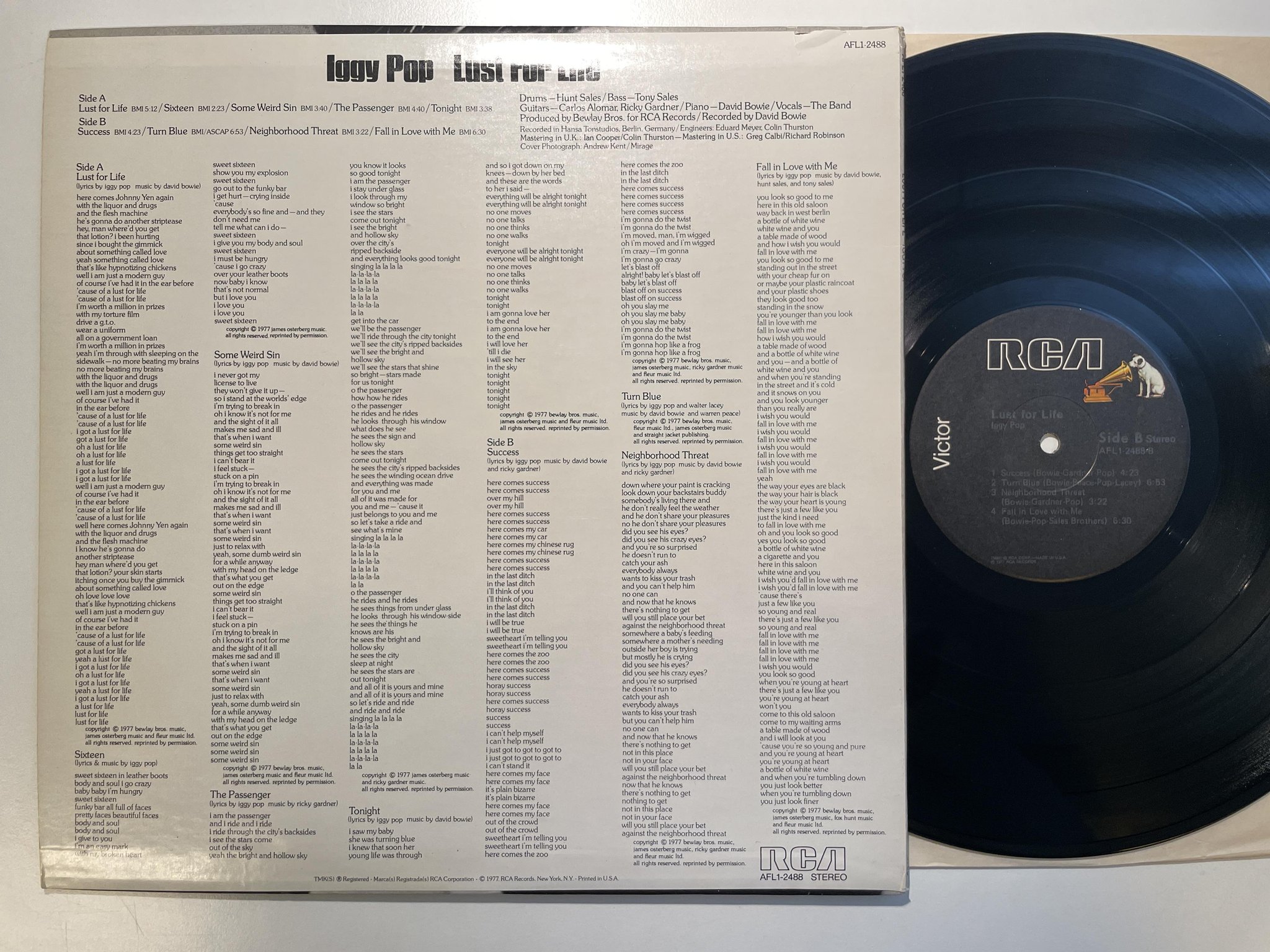 Omslagsbild för skivan IGGY POP lust for life LP -77 US RCA Victor AFL1-2488 *** CLASSIC ***