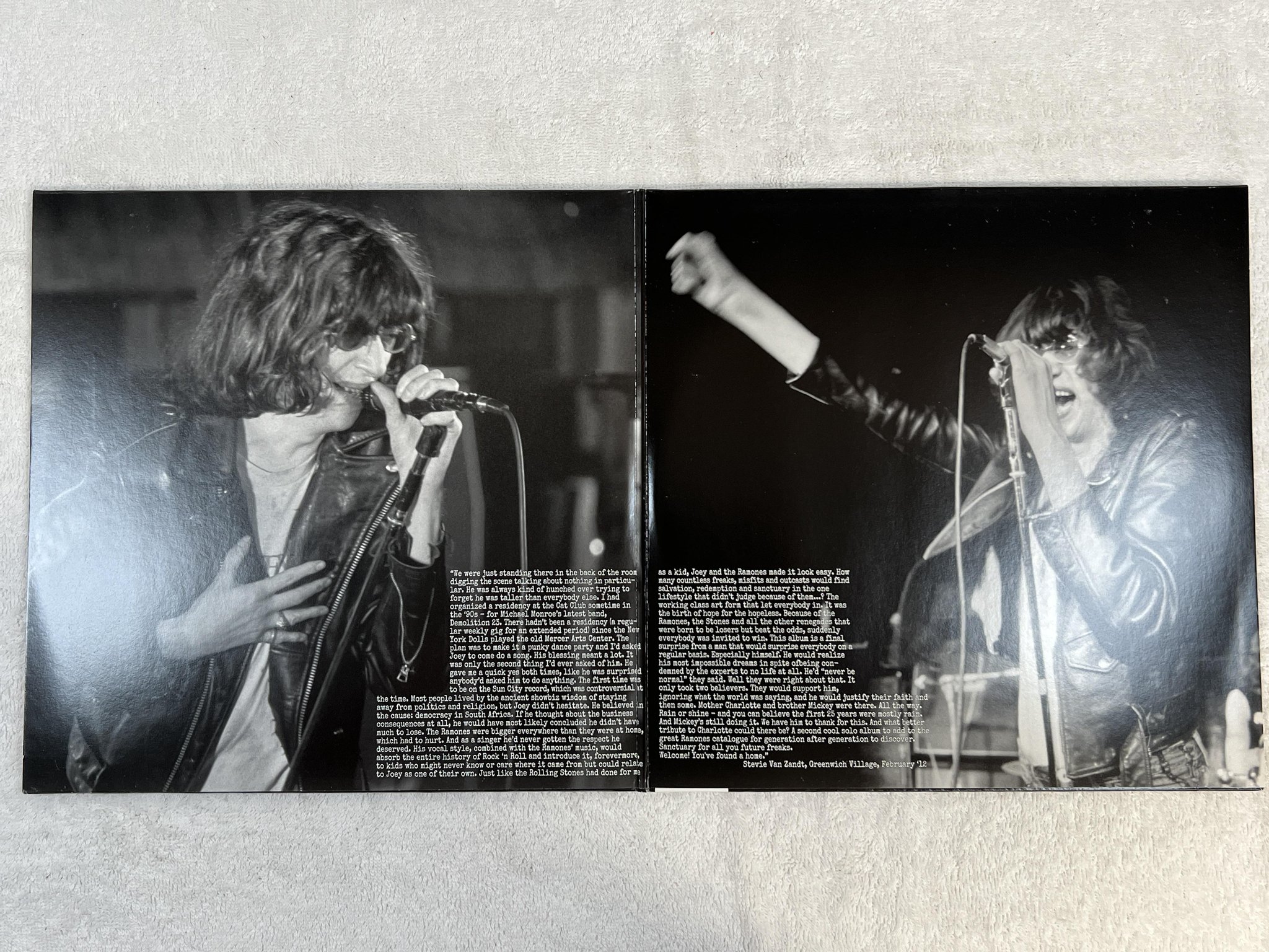 Omslagsbild för skivan JOEY RAMONE ... Ya Know? LP 2012 Eu BMG 53800213 1