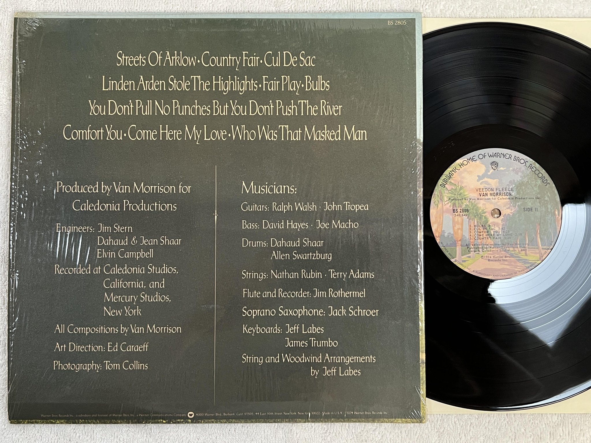 Omslagsbild för skivan VAN MORRISON veedon fleece LP -74 US WARNER BROS BS 2805