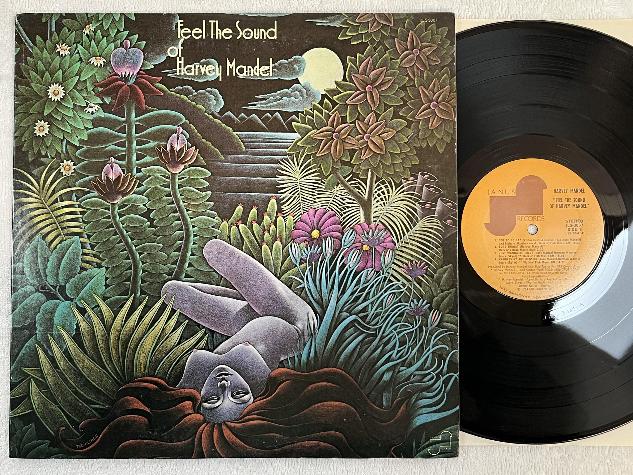 Omslagsbild för skivan HARVEY MANDEL feel the sound of LP -74 US JANUS JLS 3067