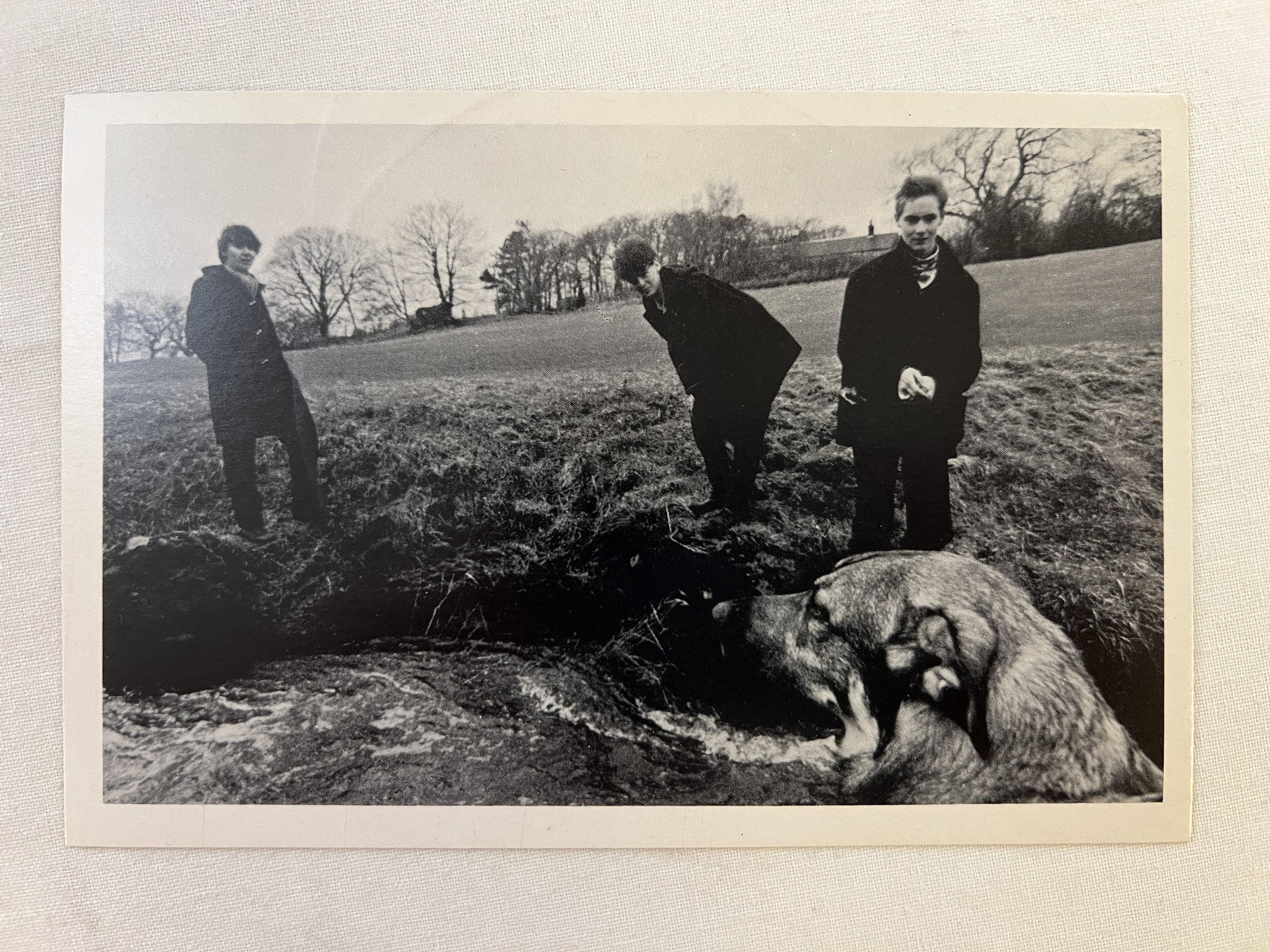 Omslagsbild för skivan AZTEC CAMERA just like gold 7" -81 UK Postcard 81 3 *** W/ POSTCARD ***