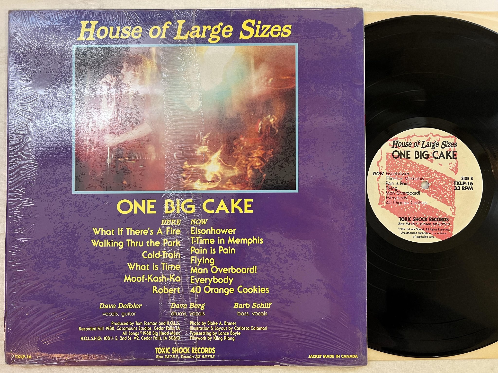 Omslagsbild för skivan HOUSE OF LARGE SIZES One Big Cake LP -89 US toxic shock txlp-16 ** INDIE **