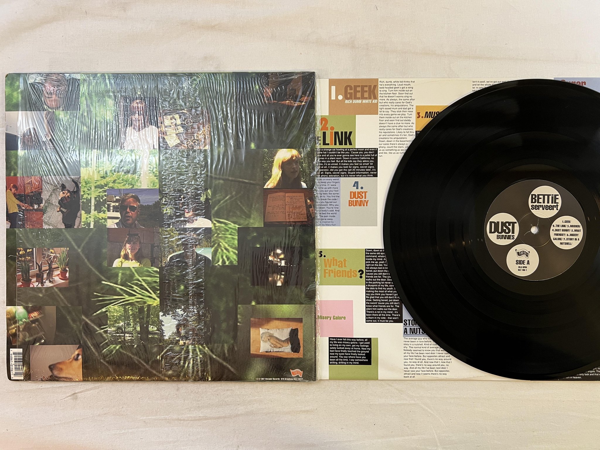 Omslagsbild för skivan BETTIE SERVEERT Dust Bunnies LP -97 US MATADOR OLE 196-1