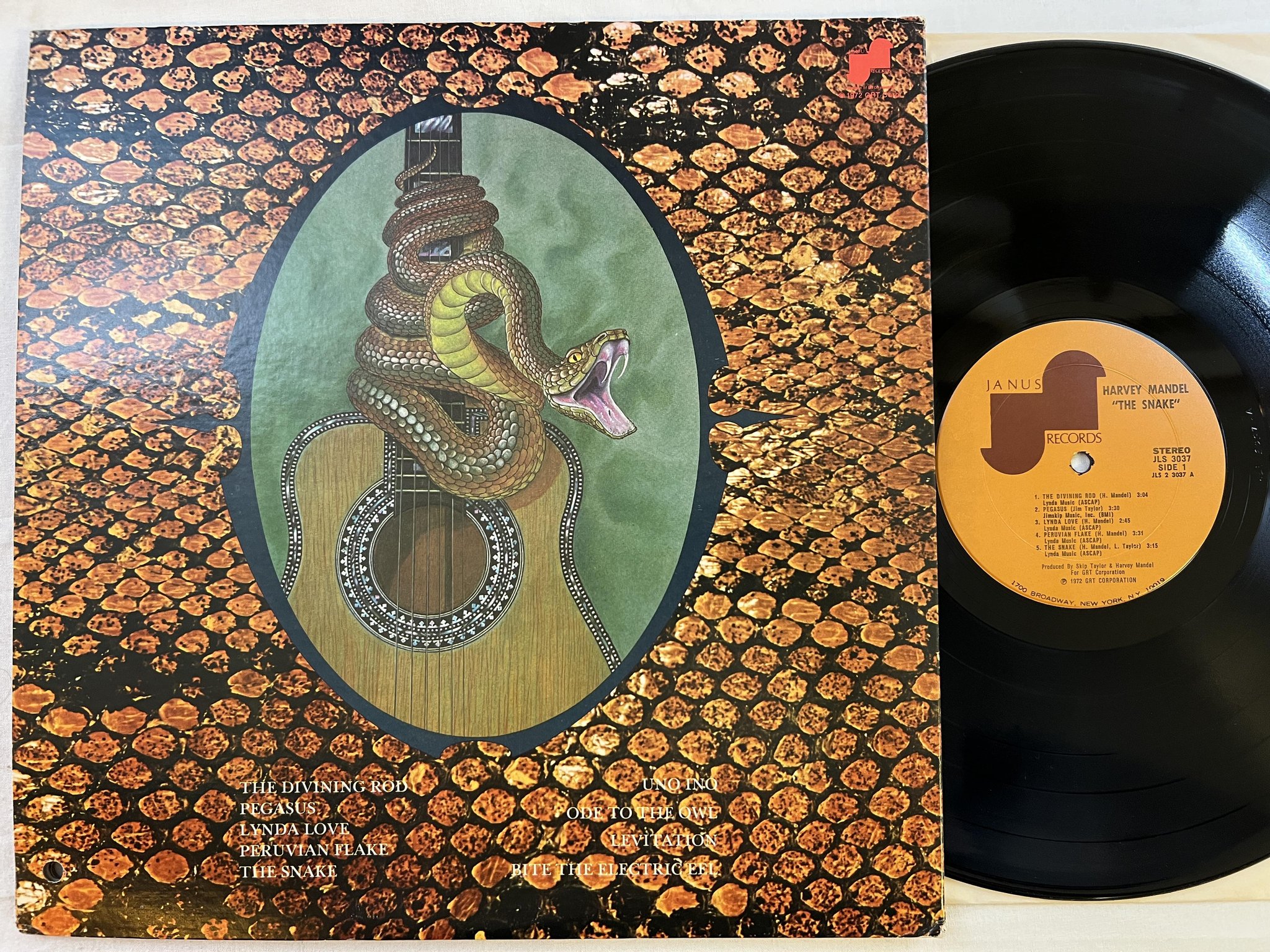 Omslagsbild för skivan HARVEY MANDEL the snake LP -72 US JANUS JLS 3037