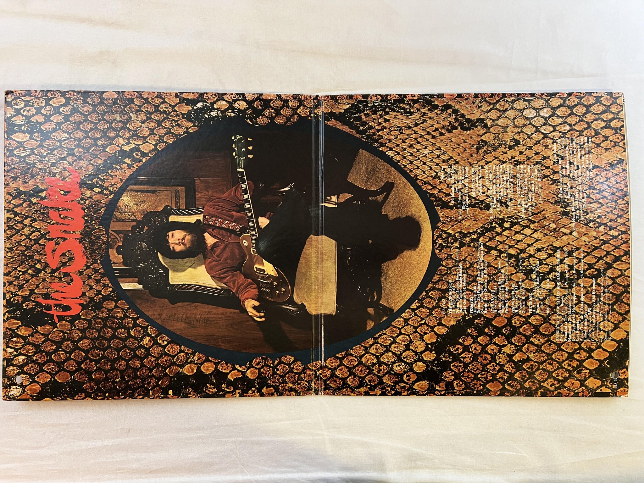 Omslagsbild för skivan HARVEY MANDEL the snake LP -72 US JANUS JLS 3037