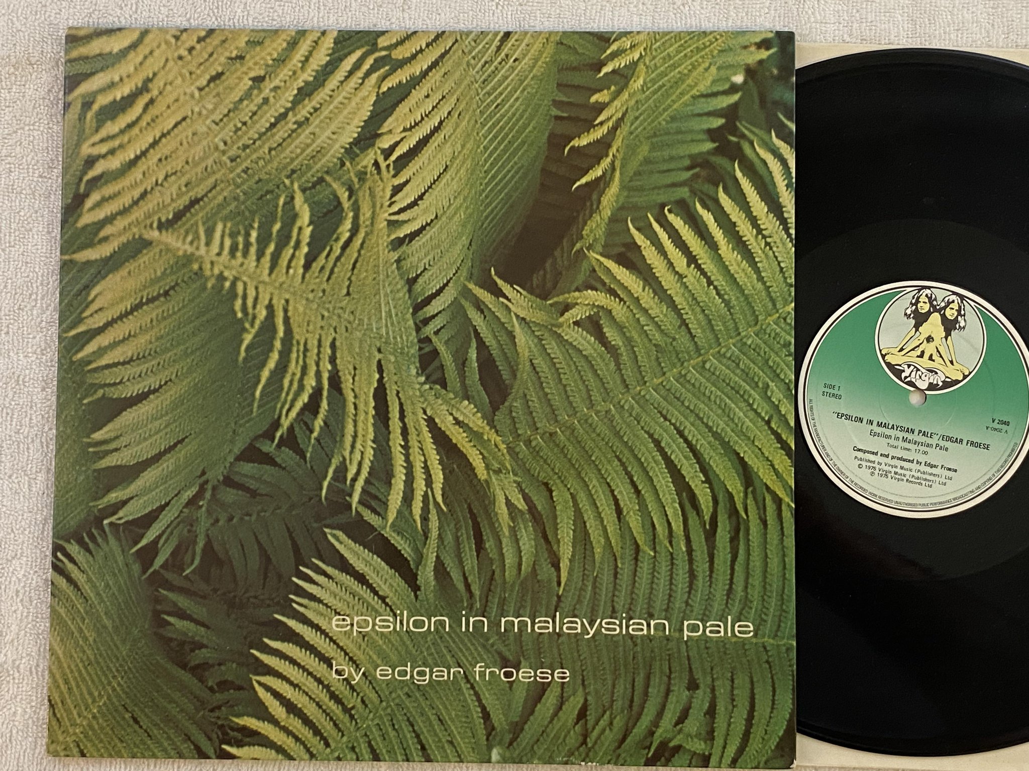 Omslagsbild för skivan EDGAR FROESE Epsilon In Malaysian Pale LP -76 UK virgin v2040