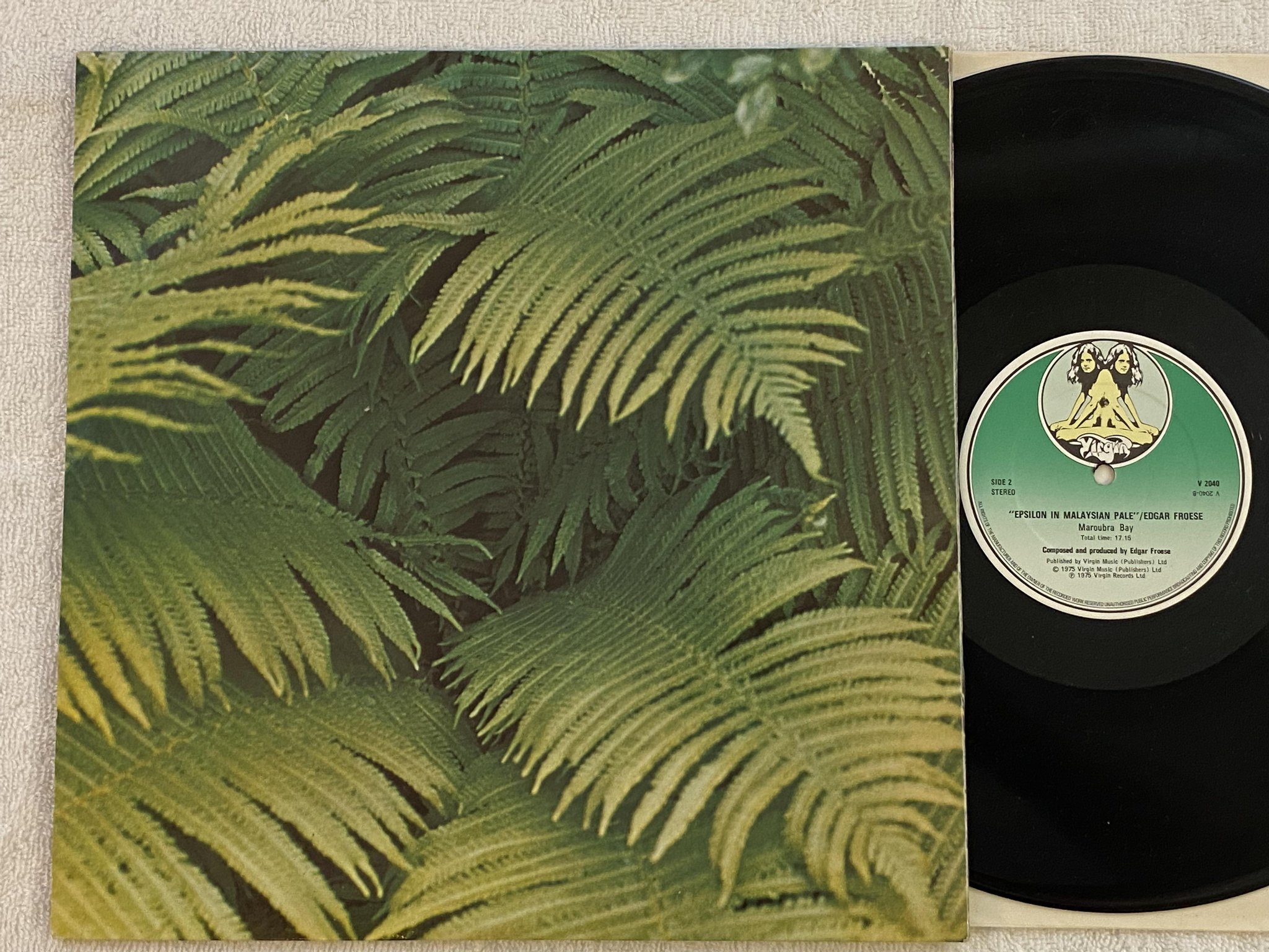 Omslagsbild för skivan EDGAR FROESE Epsilon In Malaysian Pale LP -76 UK virgin v2040