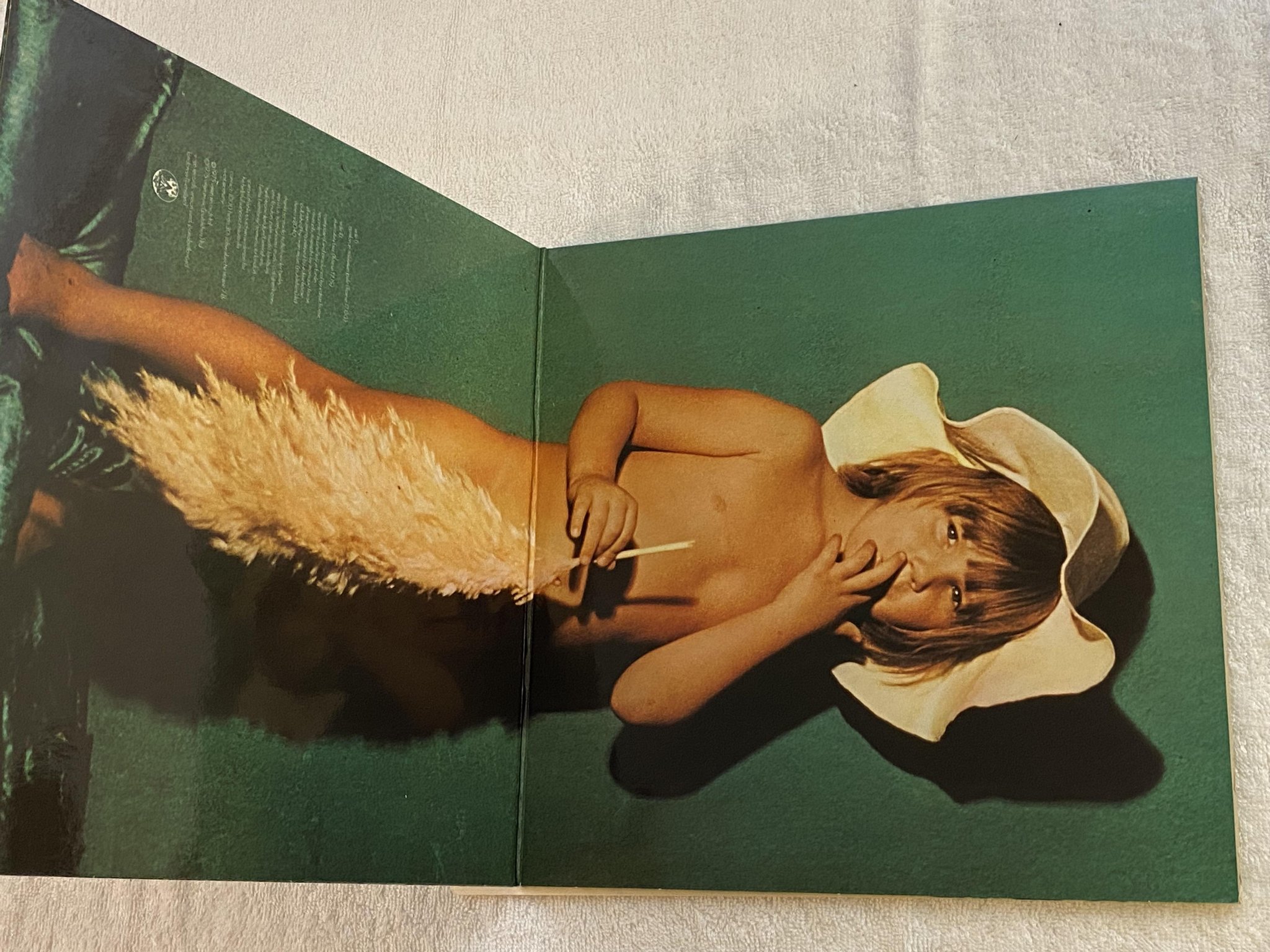 Omslagsbild för skivan EDGAR FROESE Epsilon In Malaysian Pale LP -76 UK virgin v2040