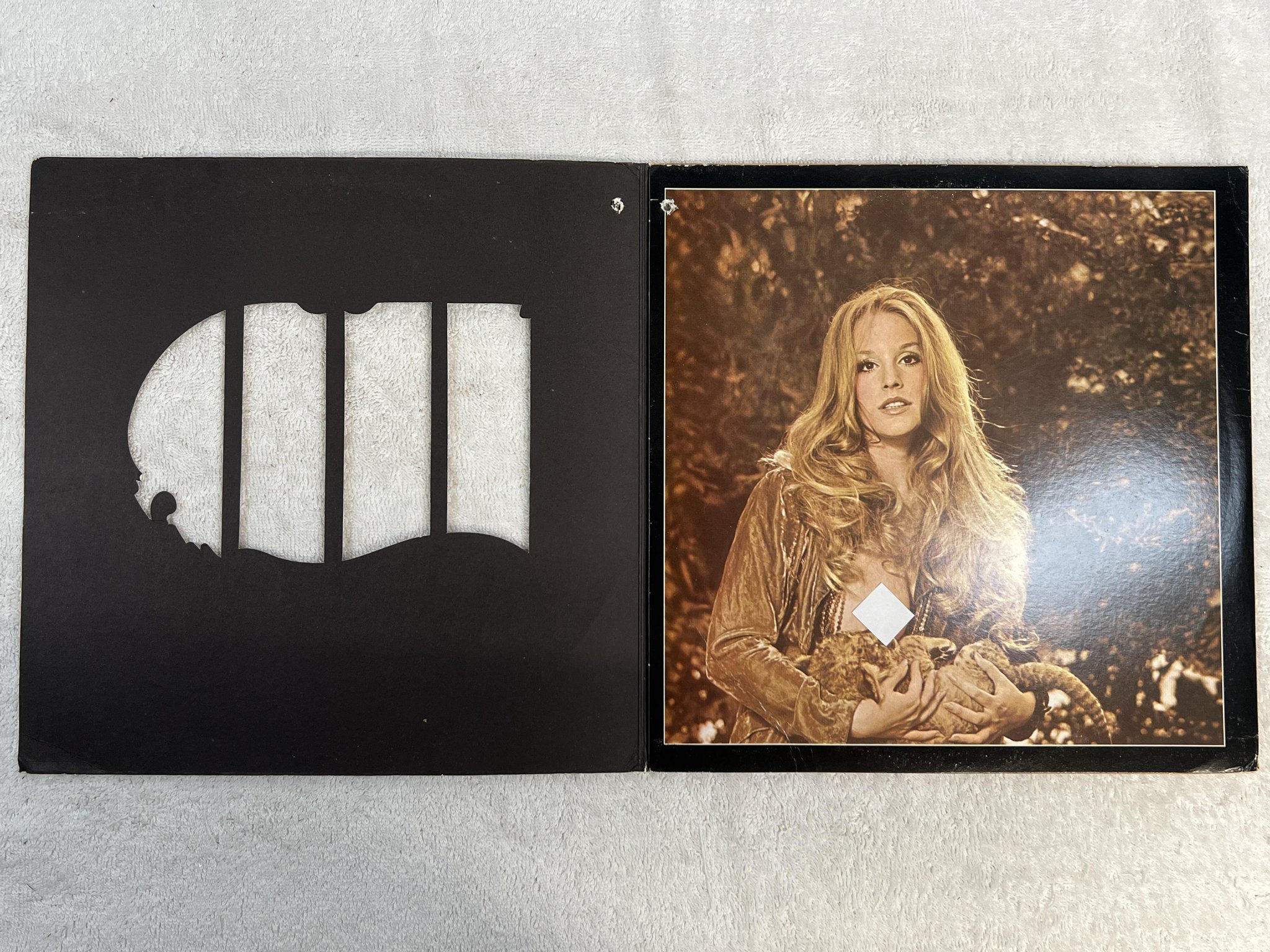 Omslagsbild för skivan MAMA LION wildlife LP -72 US FAMILY FPS-2702 *** DIE-CUT SLEEVE ***