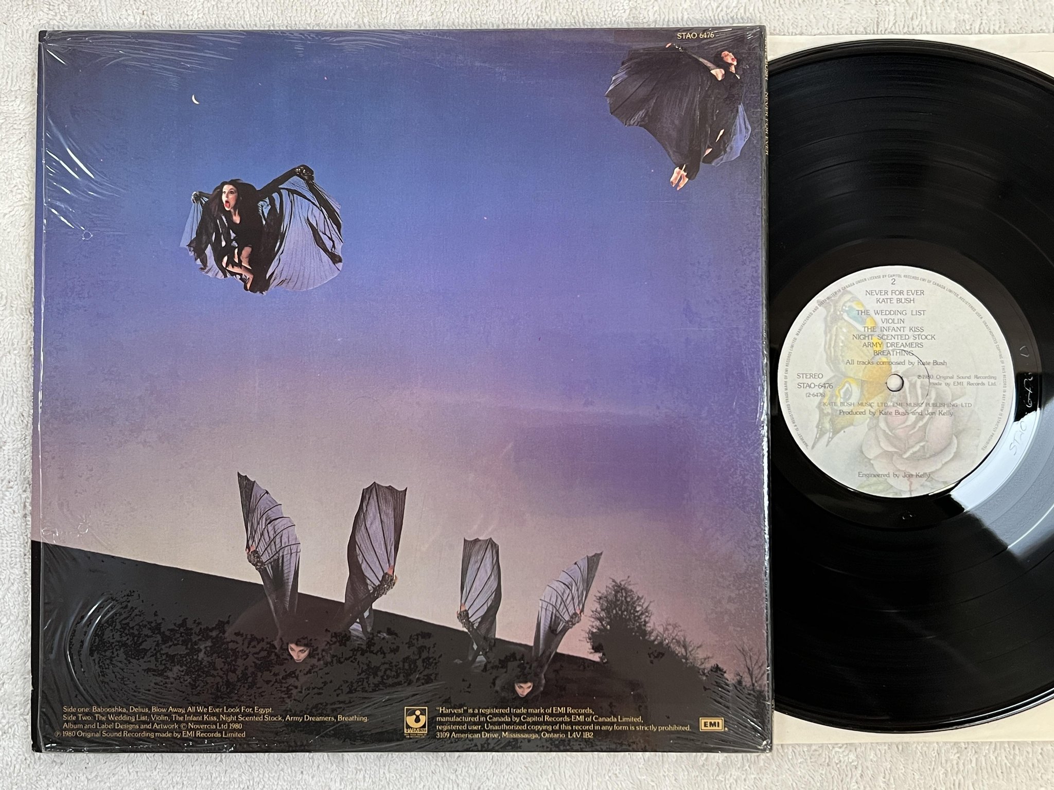 Omslagsbild för skivan KATE BUSH never for ever LP -80 EMI STAO 6476 *** Army dreamers ***