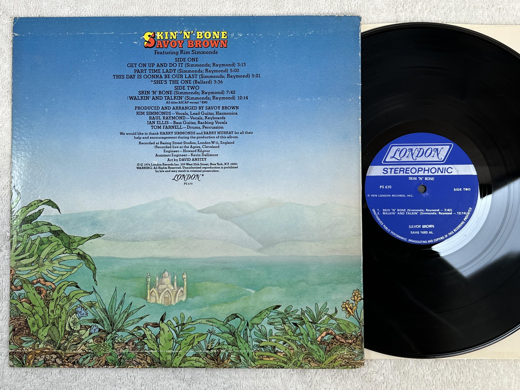 Omslagsbild för skivan SAVOY BROWN skin n bone LP -76 US LONDON PS 670