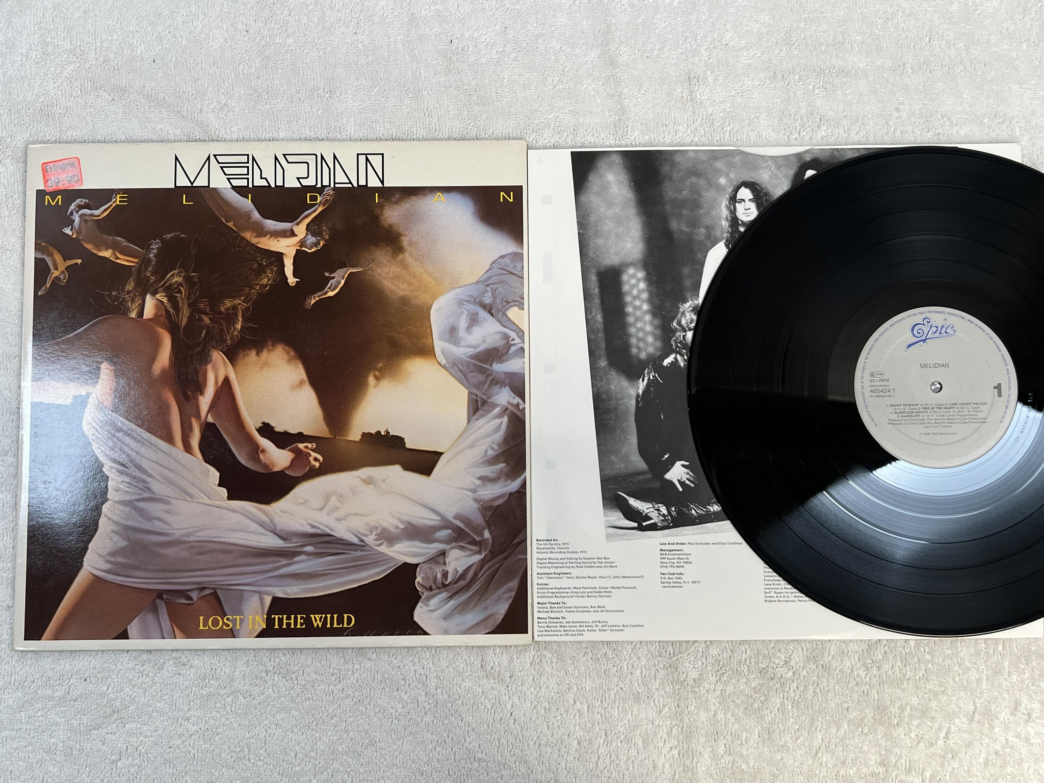 Omslagsbild för skivan MEILDIAN Lost In The Wild LP -89 Hol EPIC 465424 1